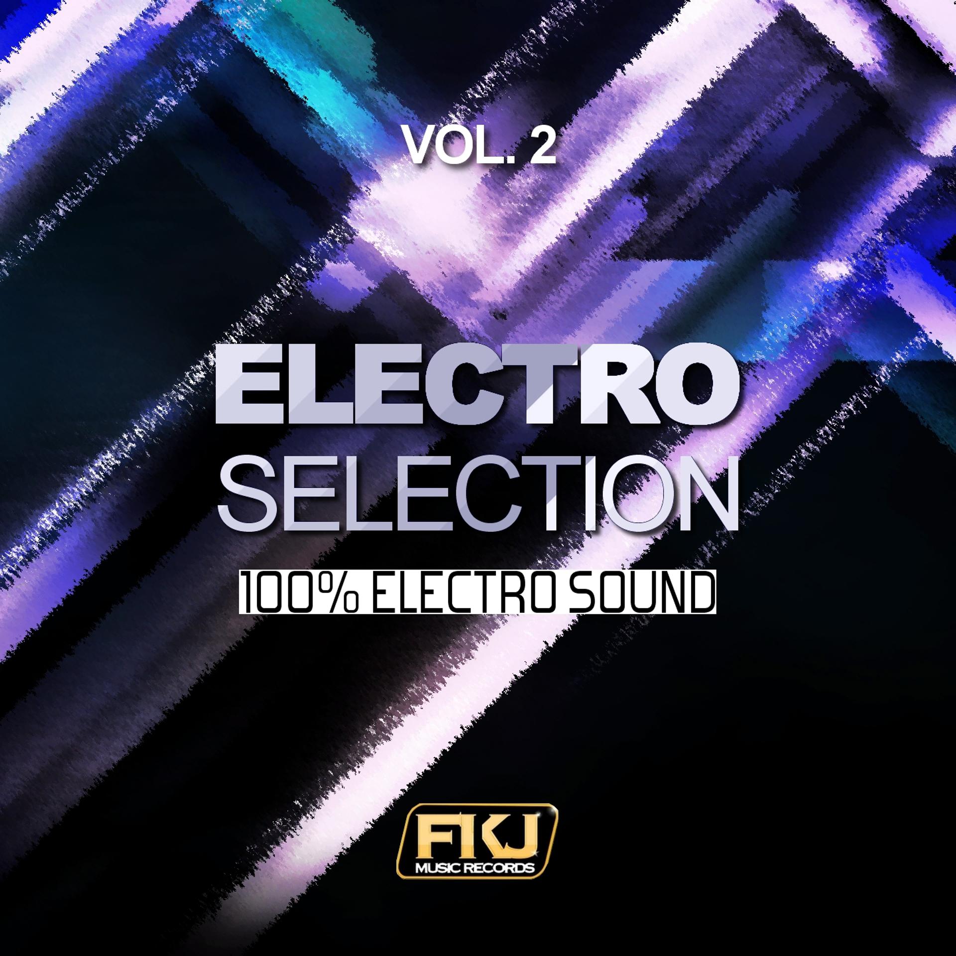 Постер альбома Electro Selection, Vol. 2