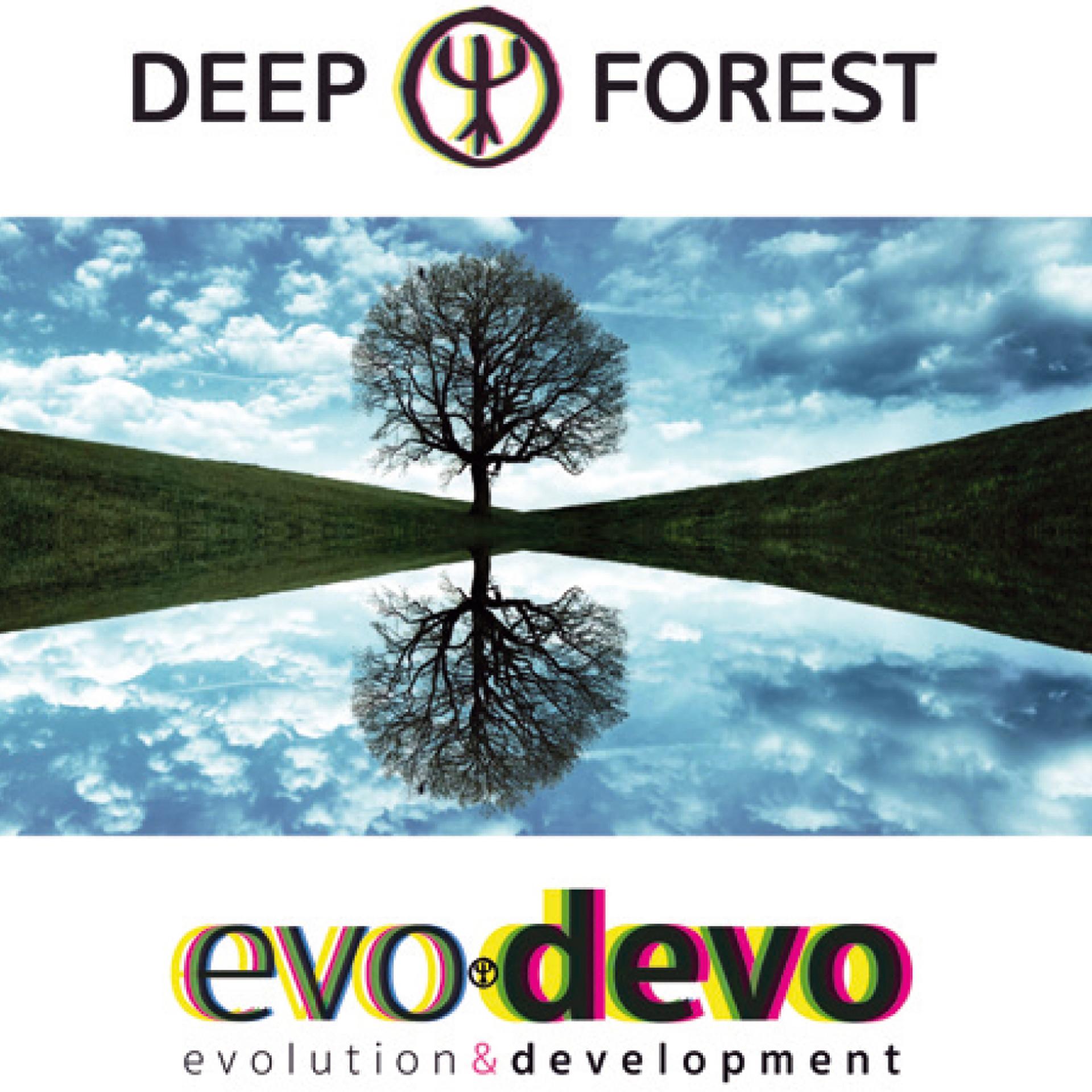 Постер альбома Evo Devo