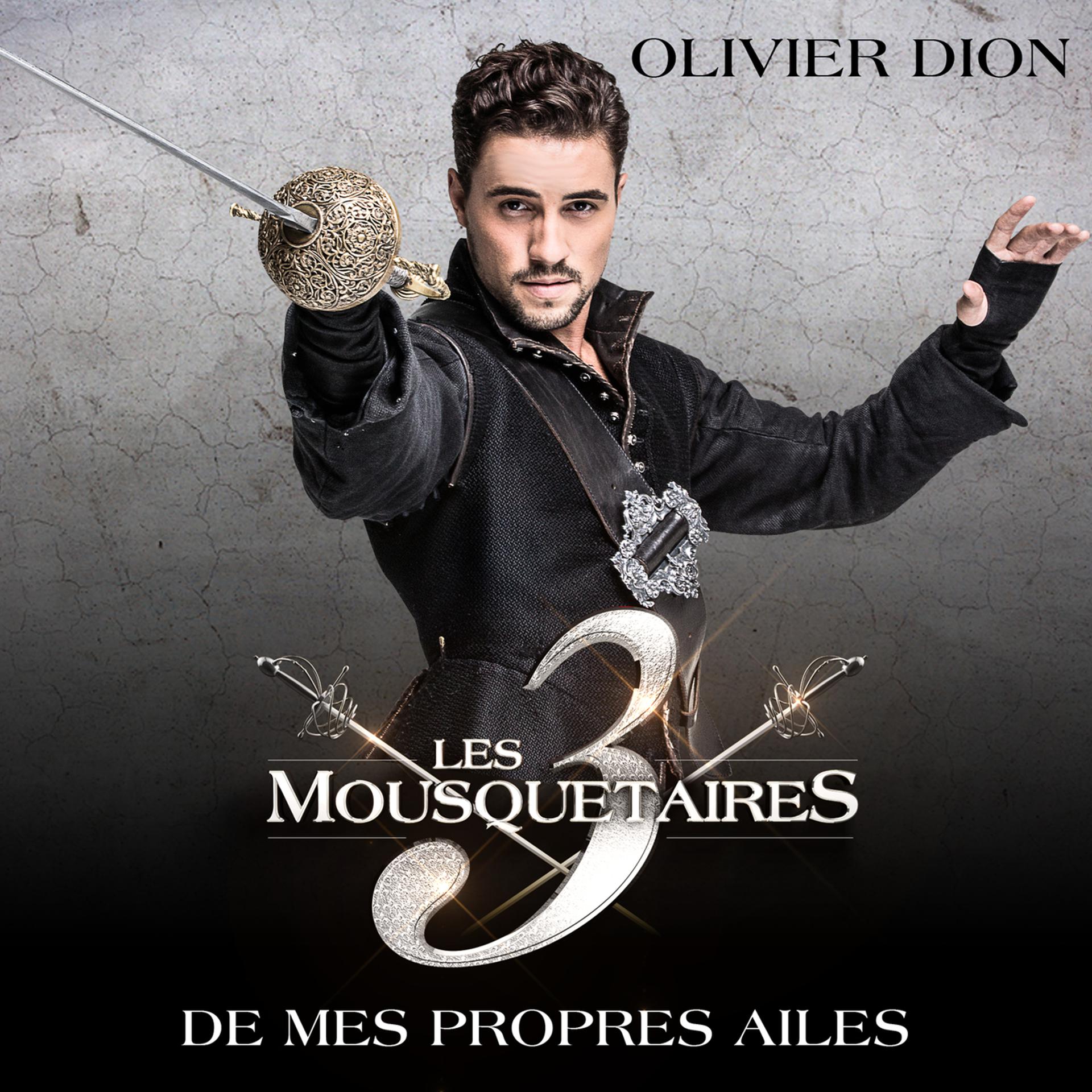Постер альбома De mes propres ailes (extrait du spectacle « Les 3 Mousquetaires ») (Skydancers Remix)