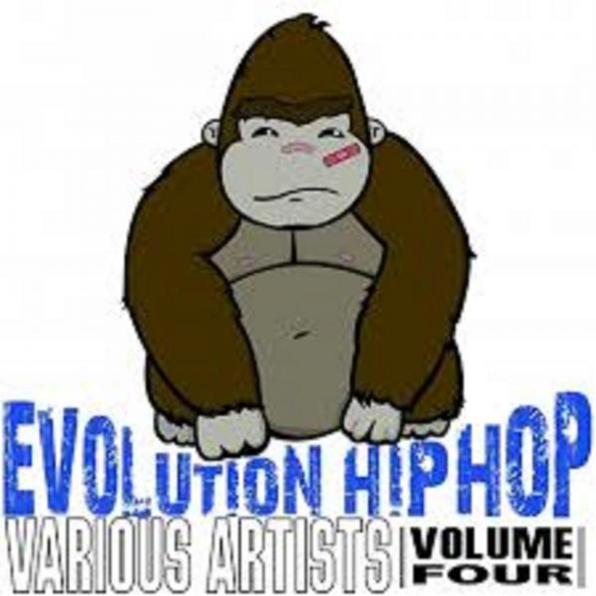 Постер альбома Evolution Hip Hop, Vol. 4