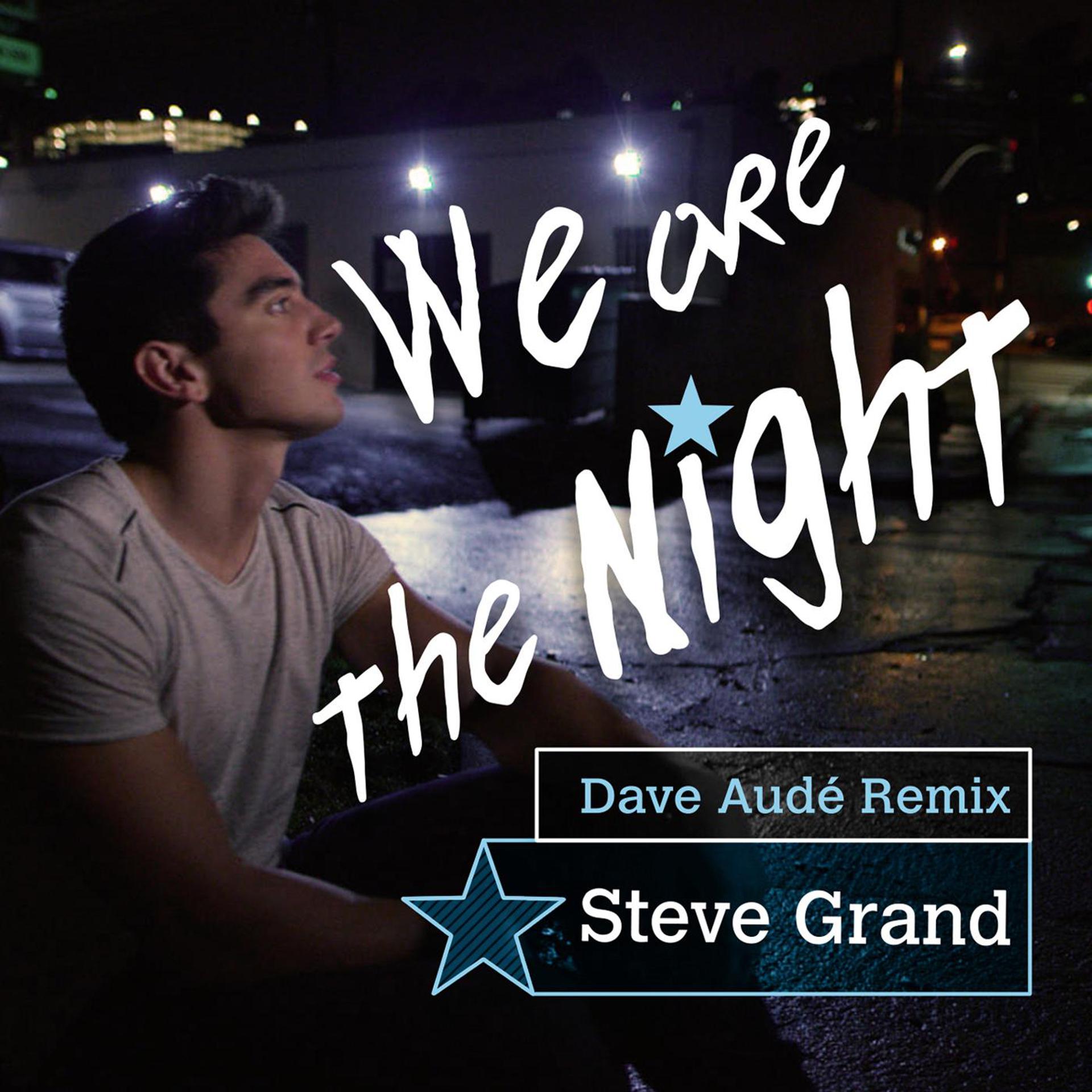 Постер альбома We Are the Night (Dave Audé Remix) [Video Version]