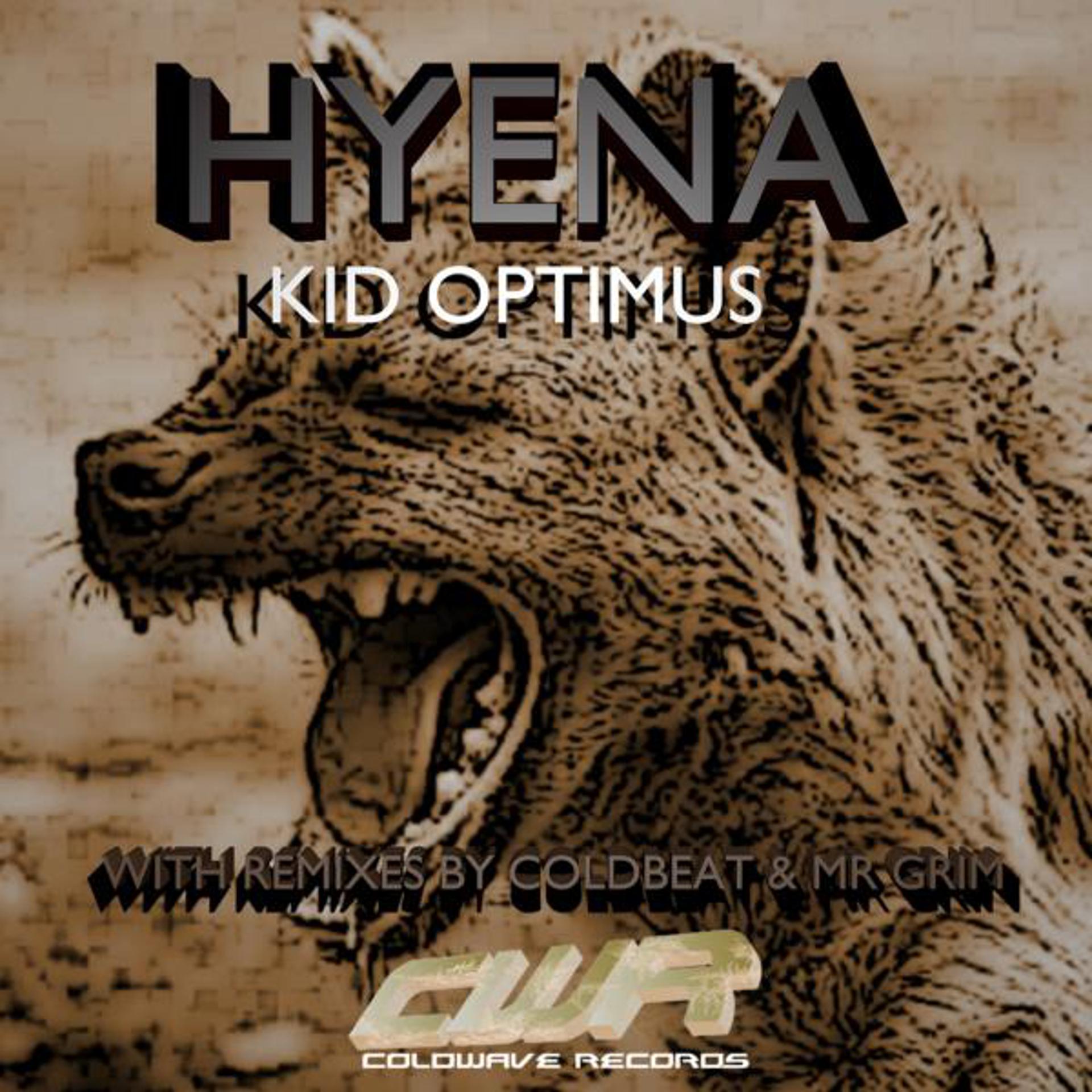 Постер альбома Hyena
