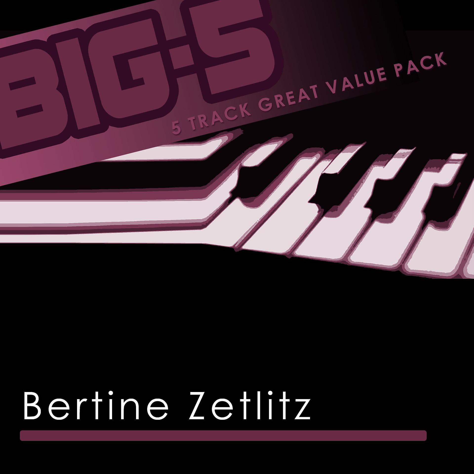 Постер альбома Big-5: Bertine Zetlitz