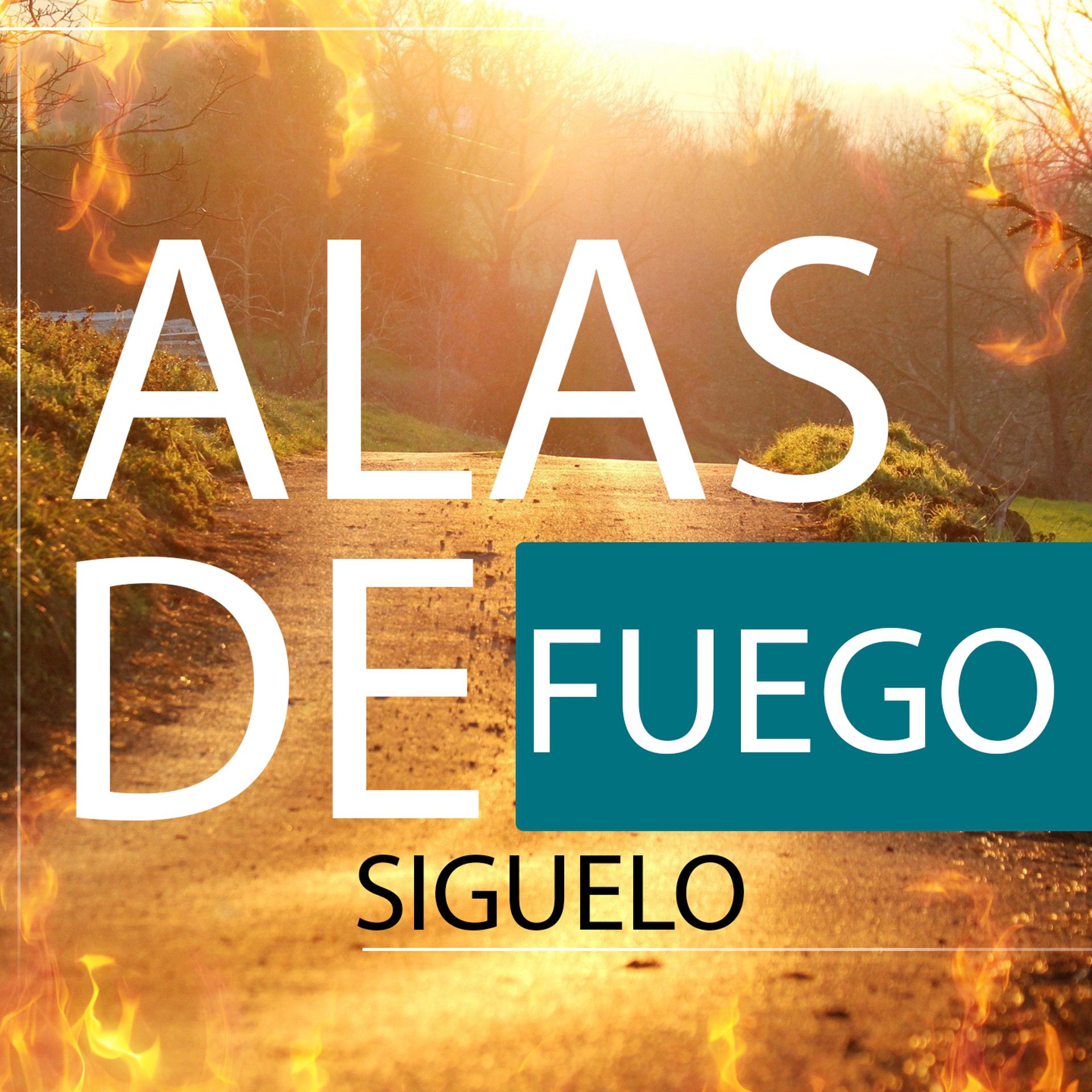 Постер альбома Síguelo