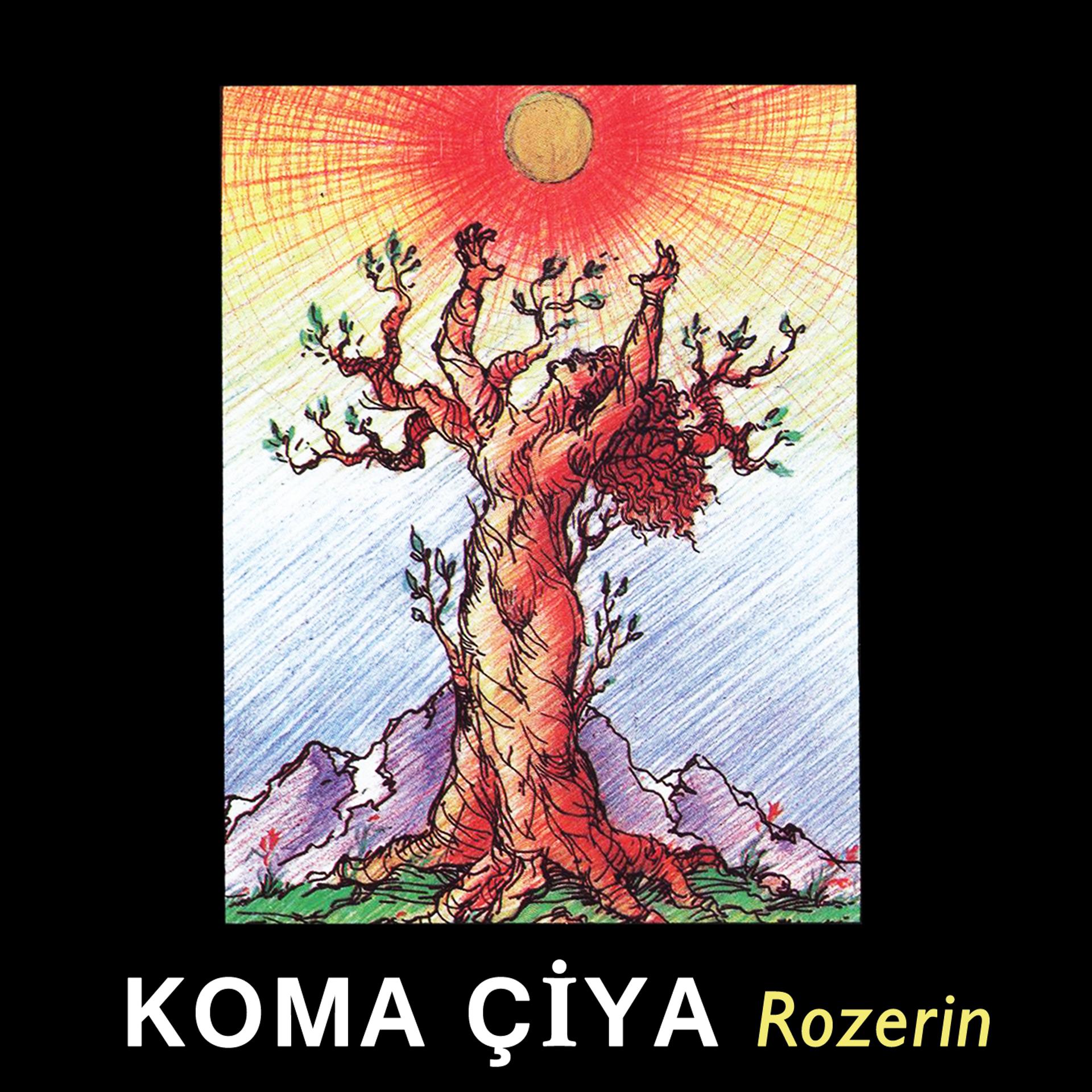 Постер альбома Rozerin