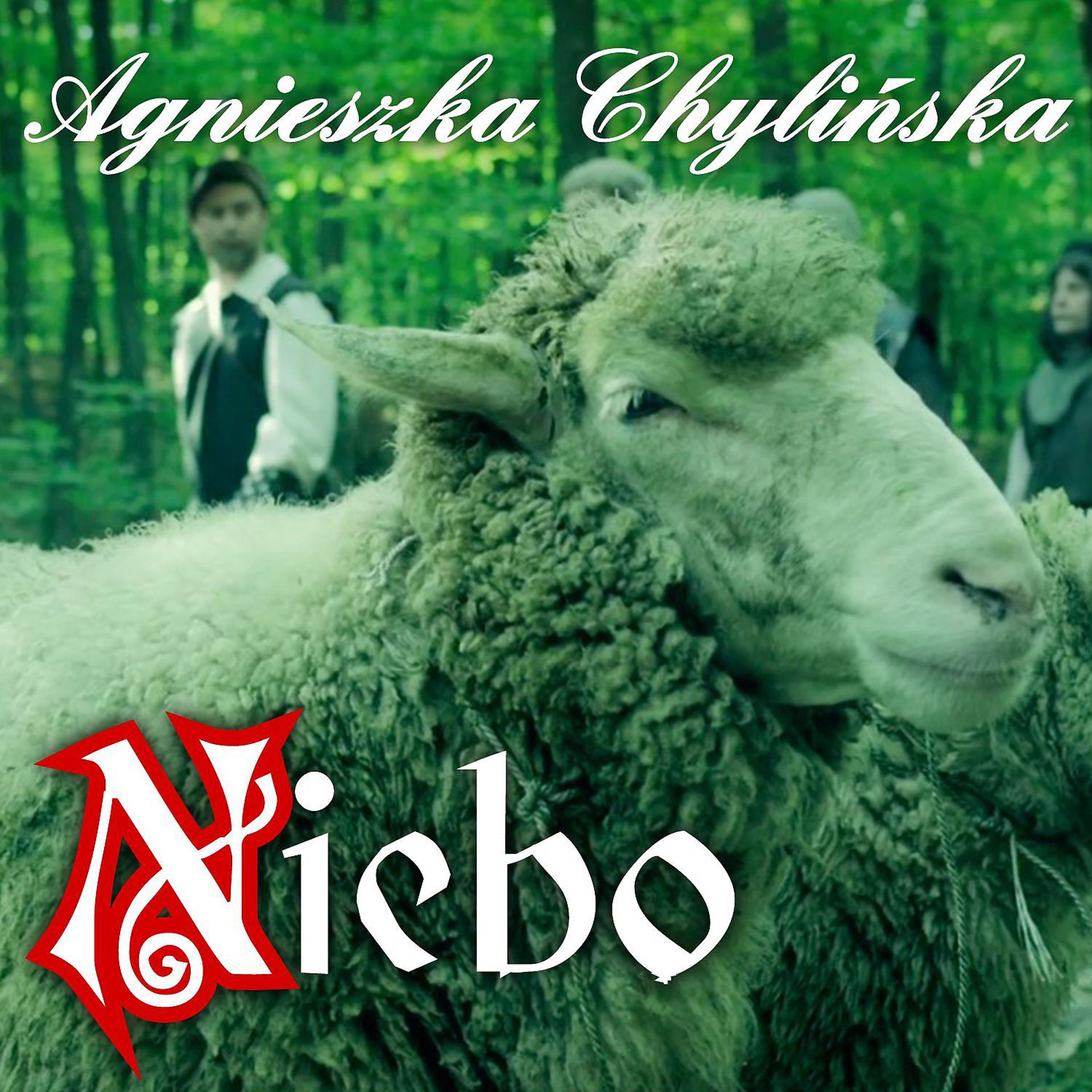 Постер альбома Niebo