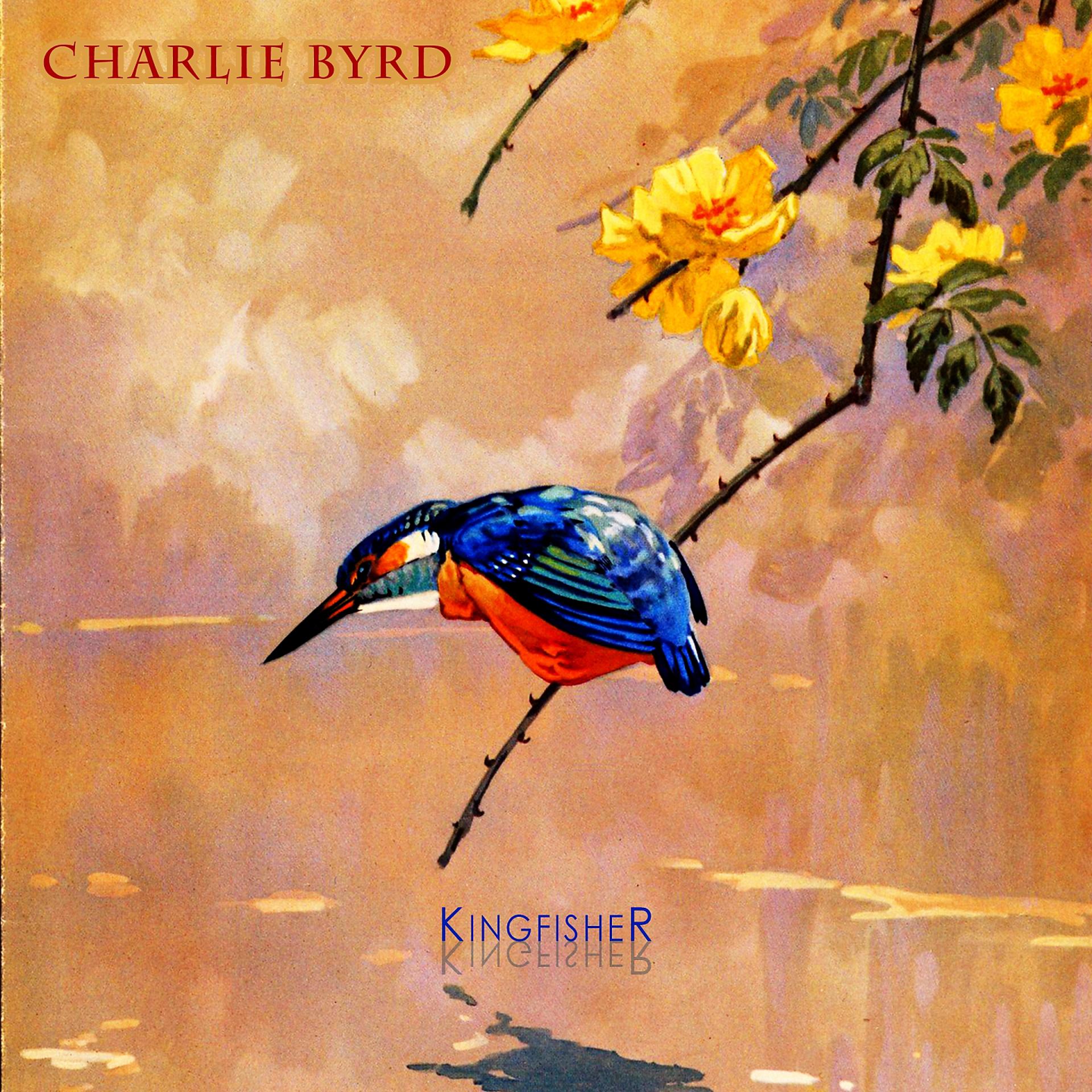 Постер альбома Kingfisher