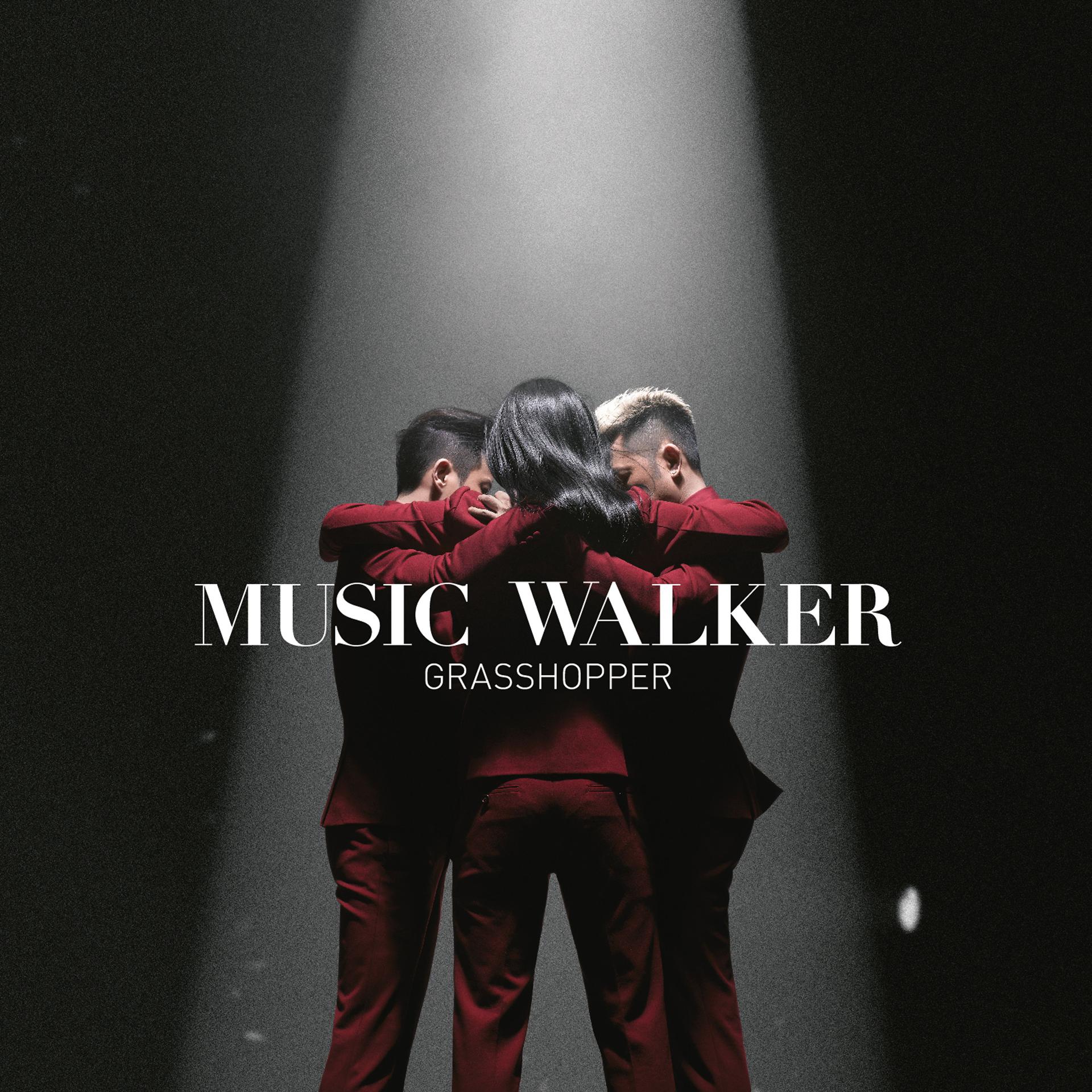 Постер альбома Music Walker