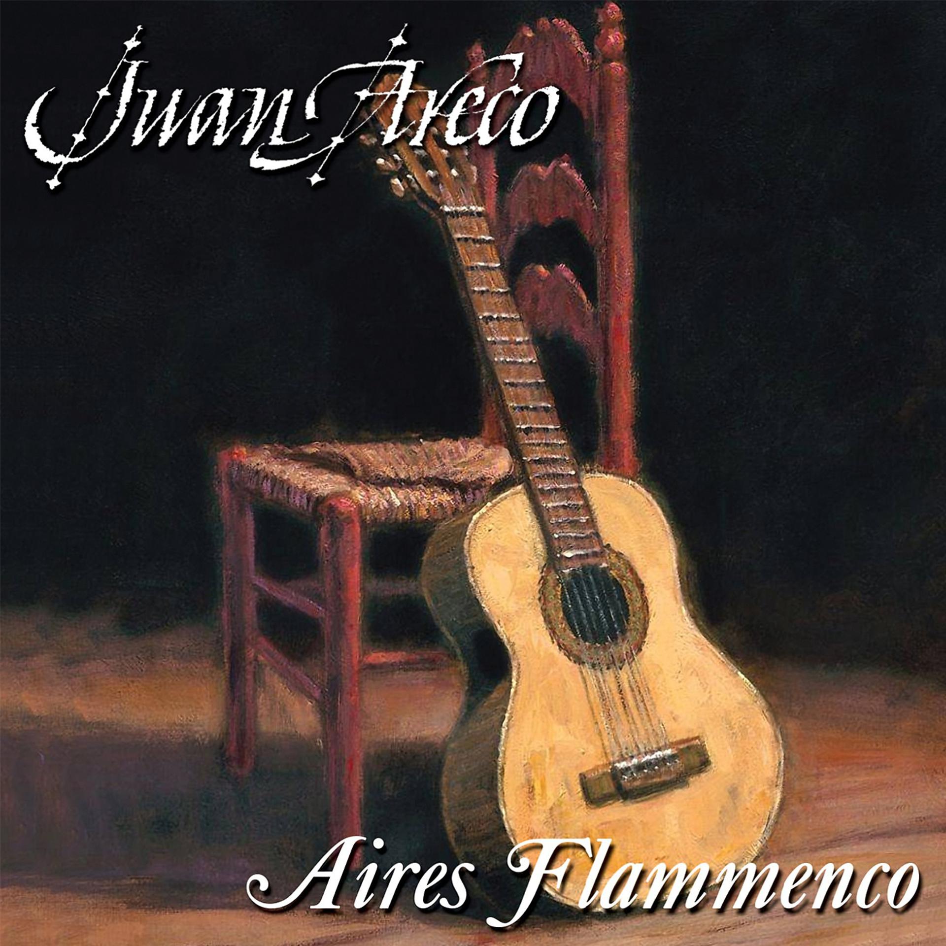 Постер альбома Aires Flammenco