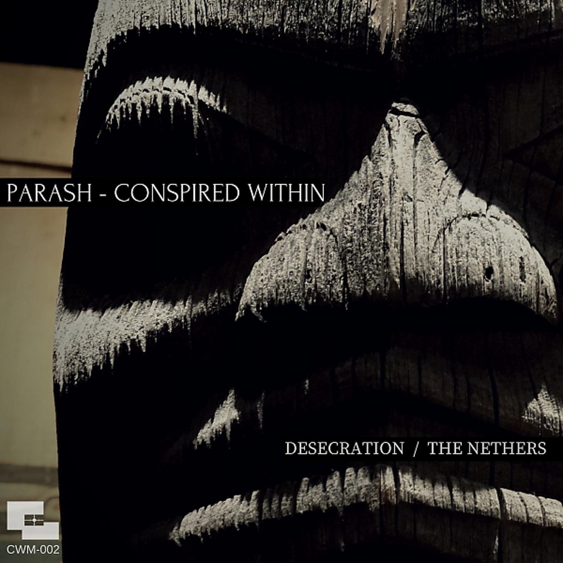 Постер альбома Desecration / The Nethers