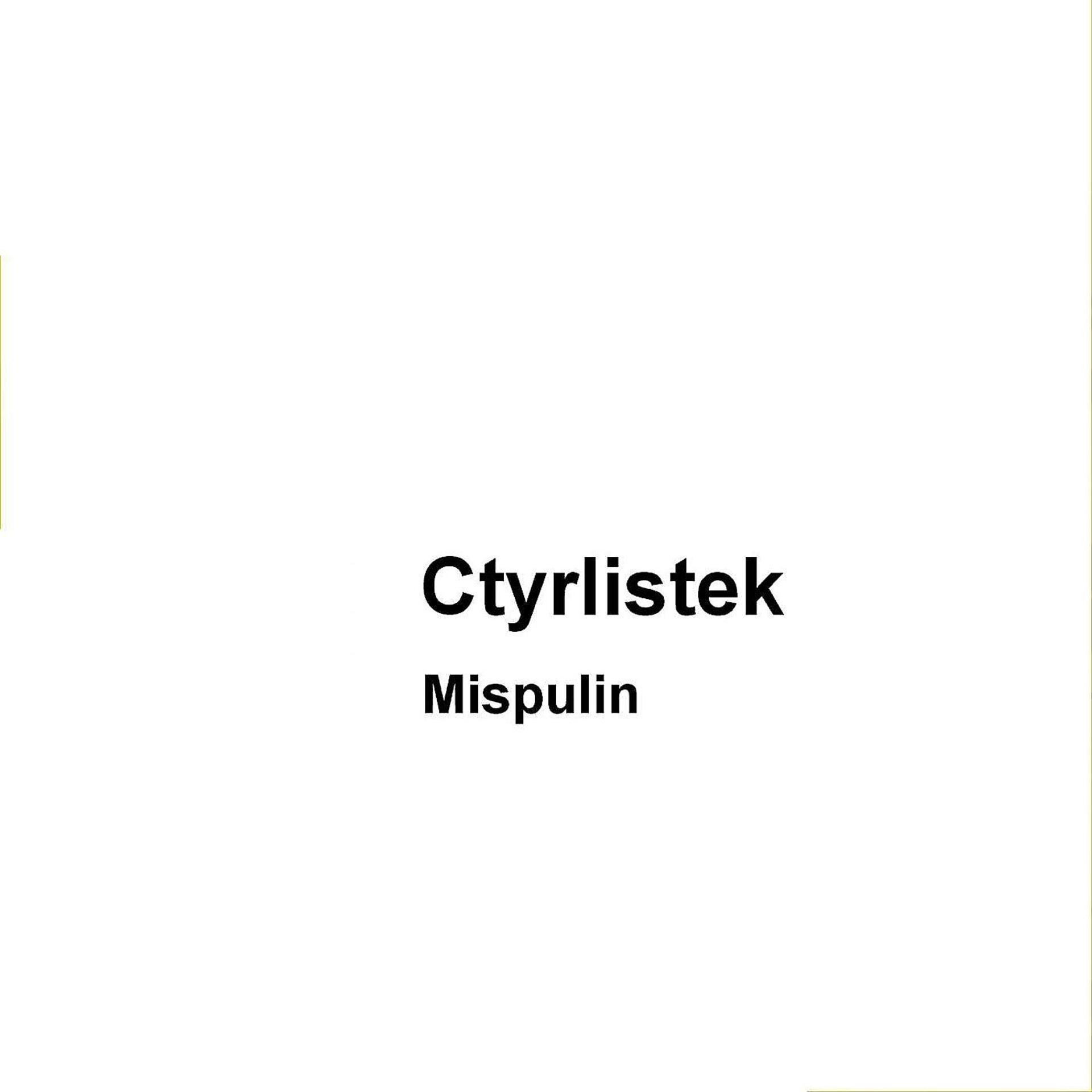 Постер альбома Mispulin