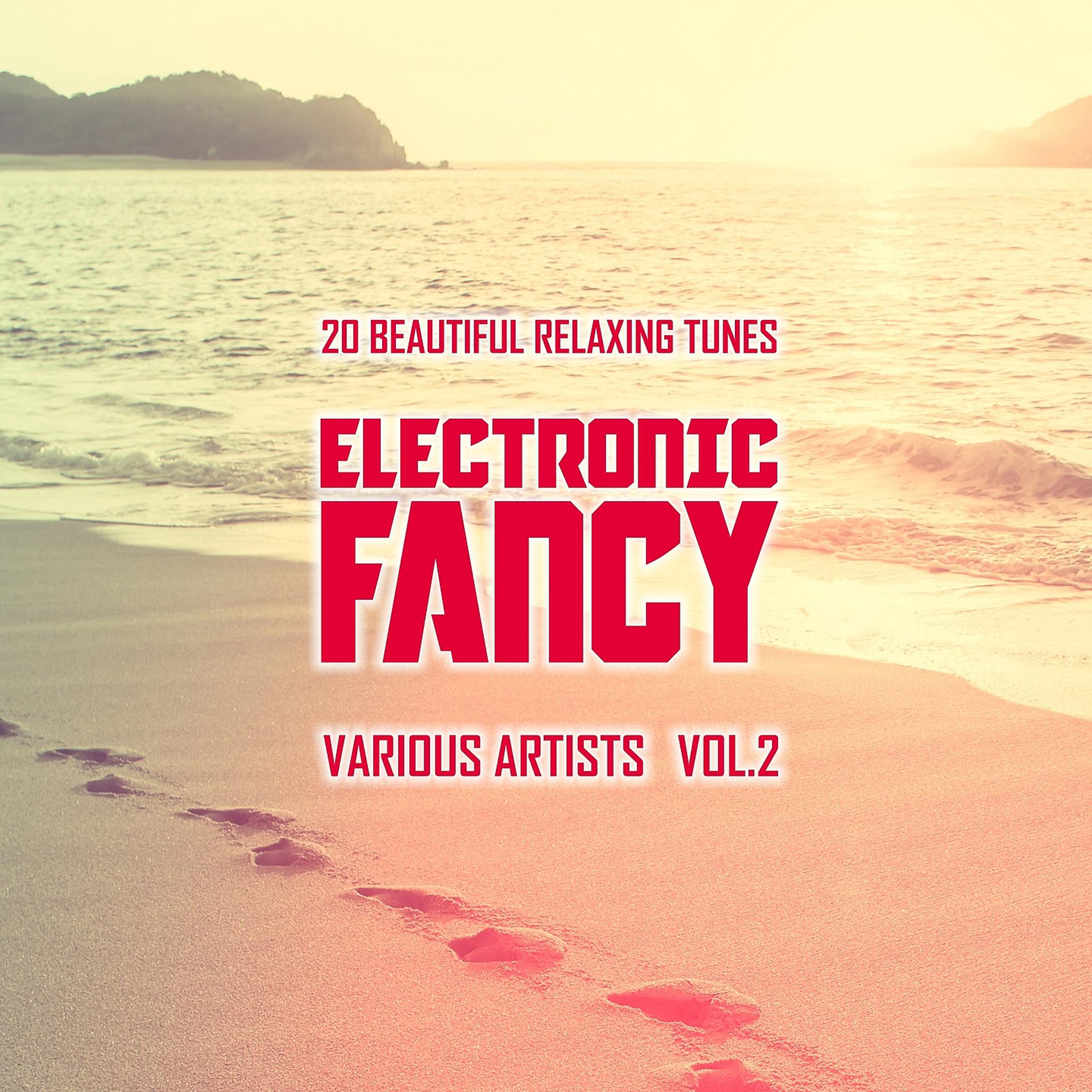 Постер альбома Electronic Fancy (20 Beautiful Relaxing Tunes), Vol. 2