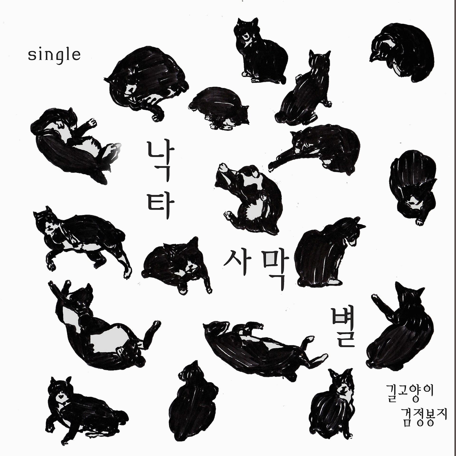 Постер альбома A Street Cat