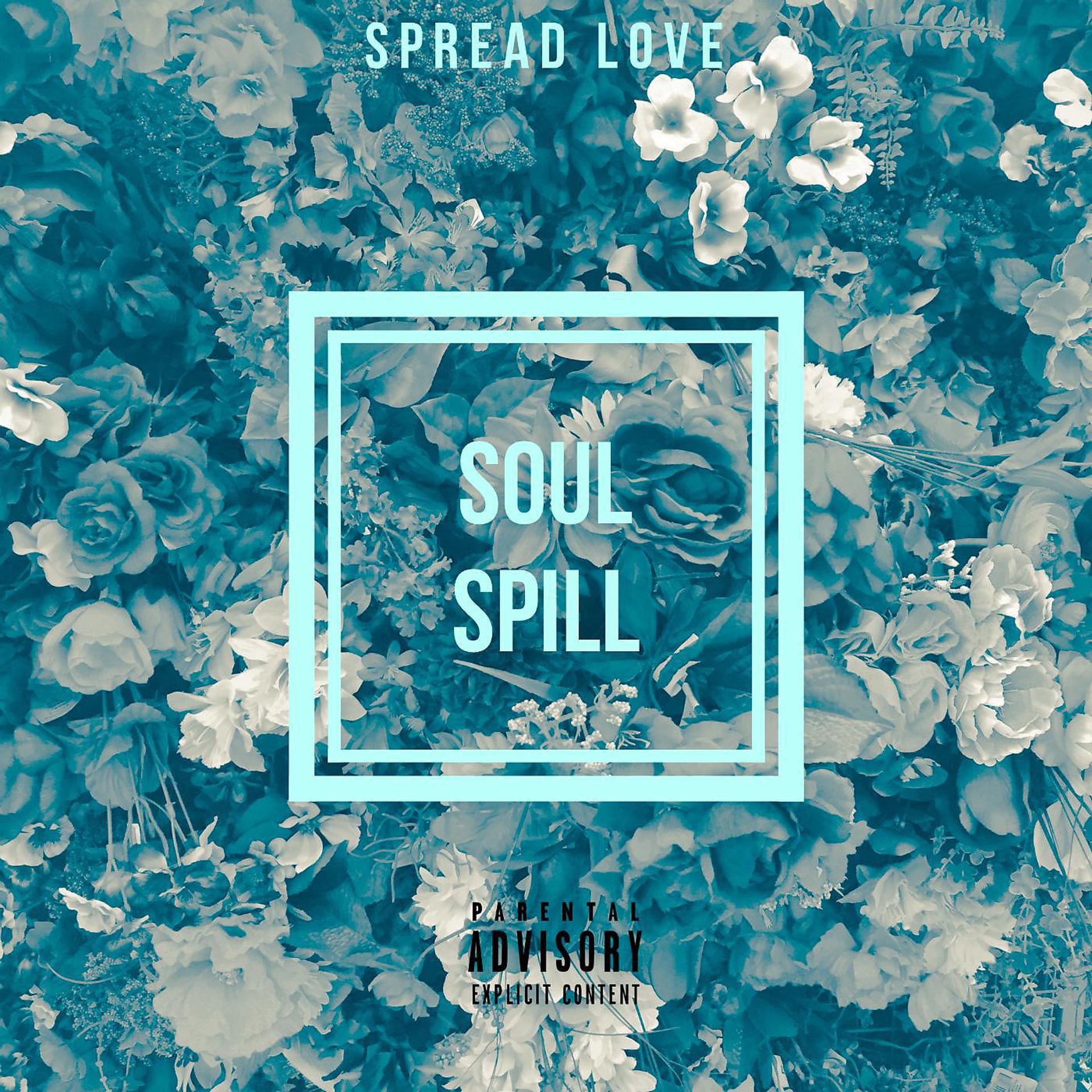 Постер альбома Soul Spill