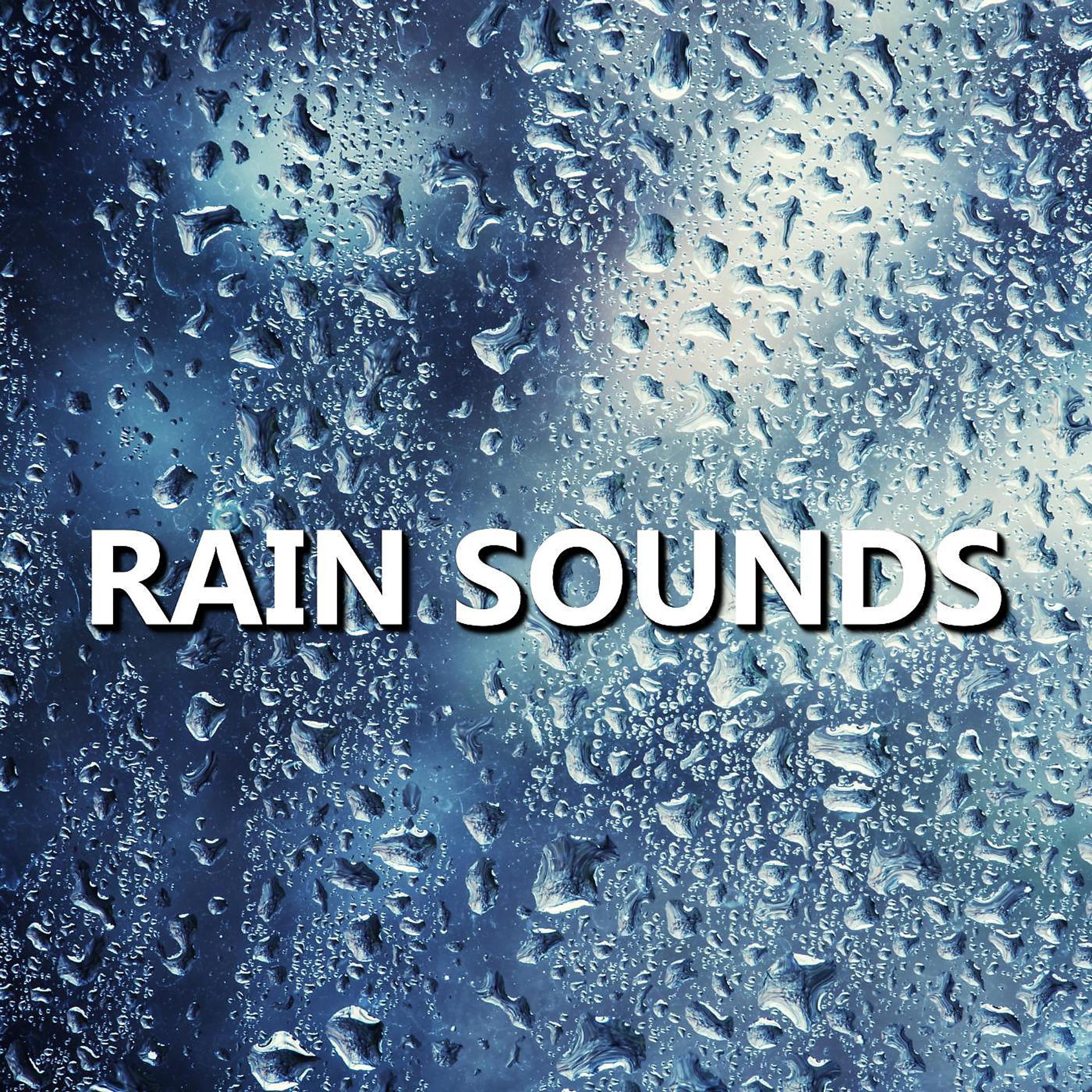 Постер альбома Rain Sounds