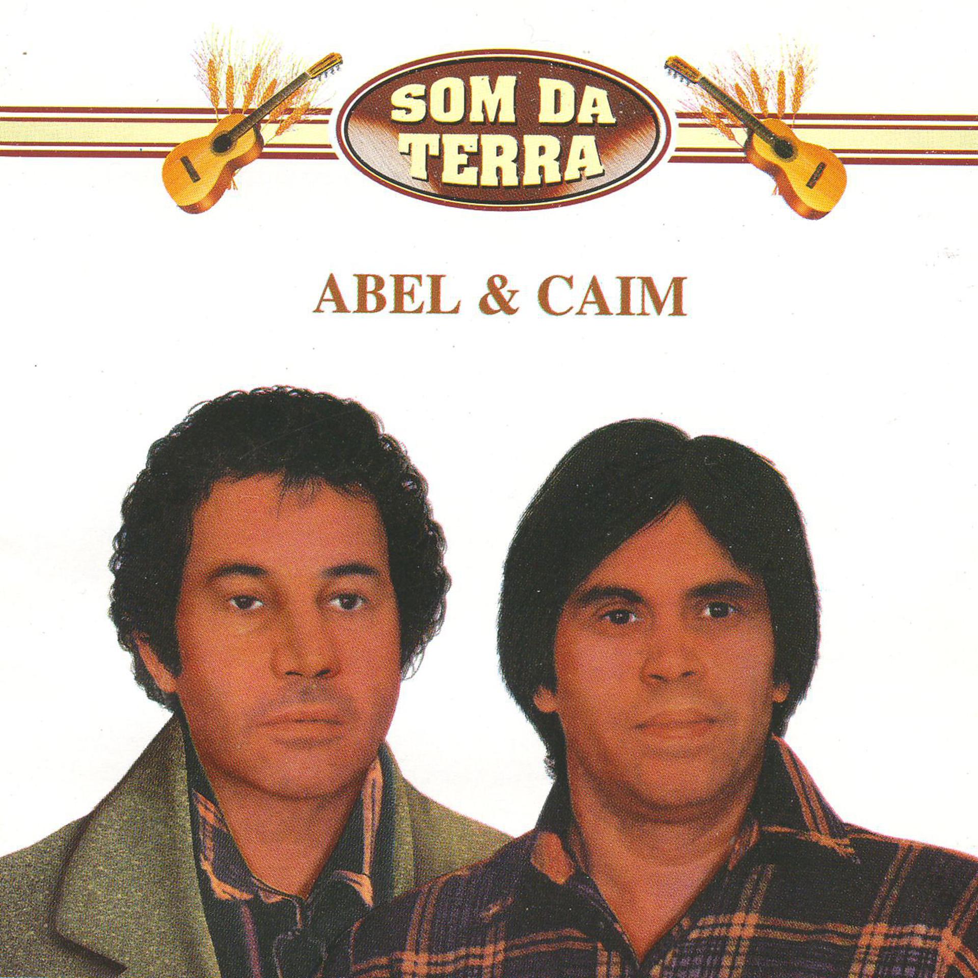 Постер альбома Som da Terra