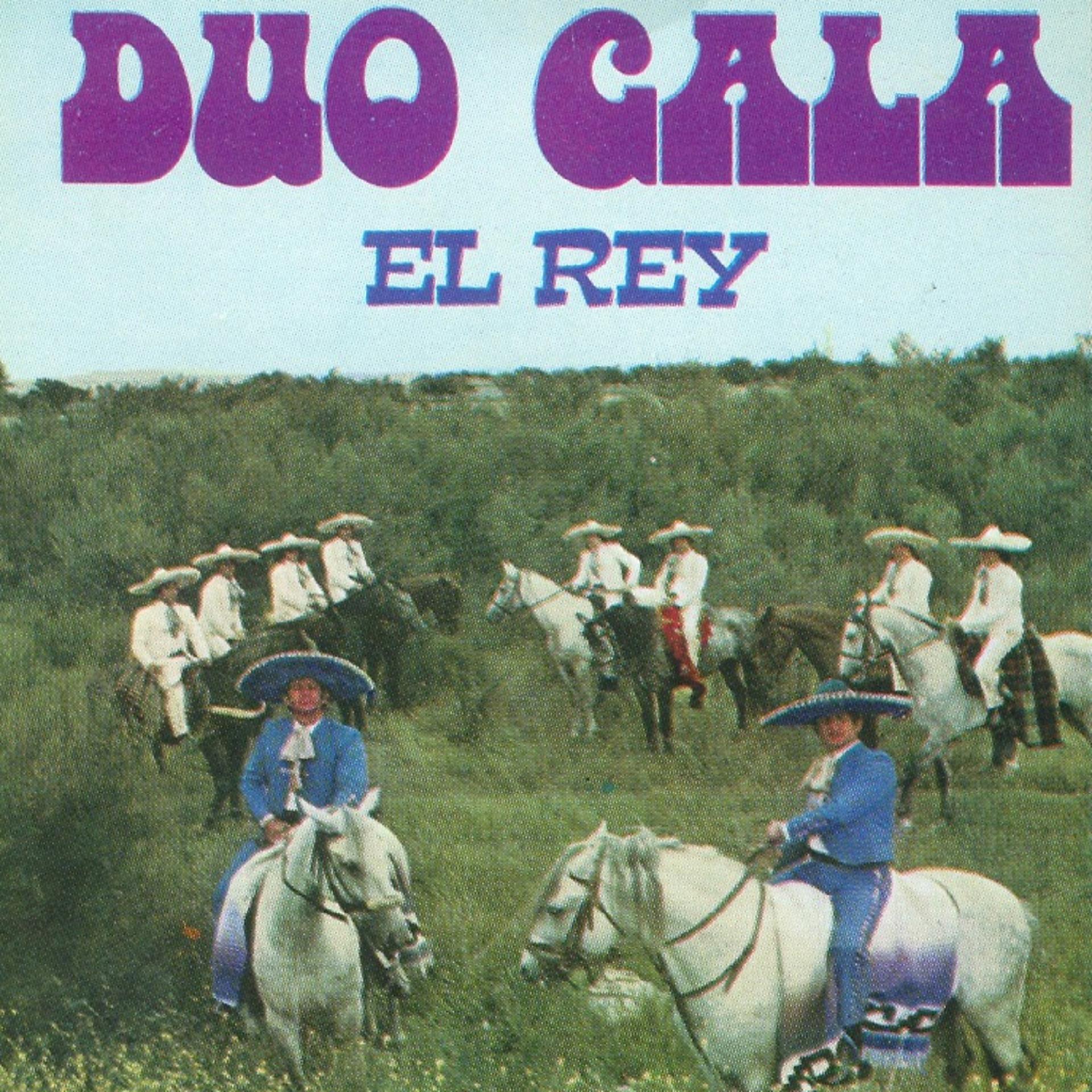 Постер альбома El Rey