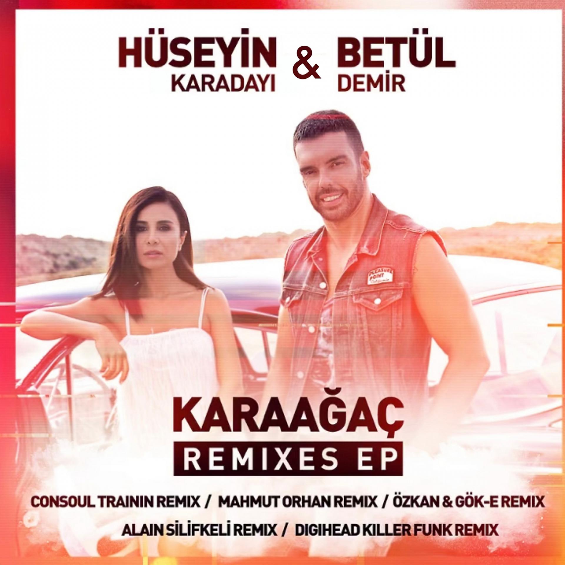 Постер альбома Karaağaç Remixes