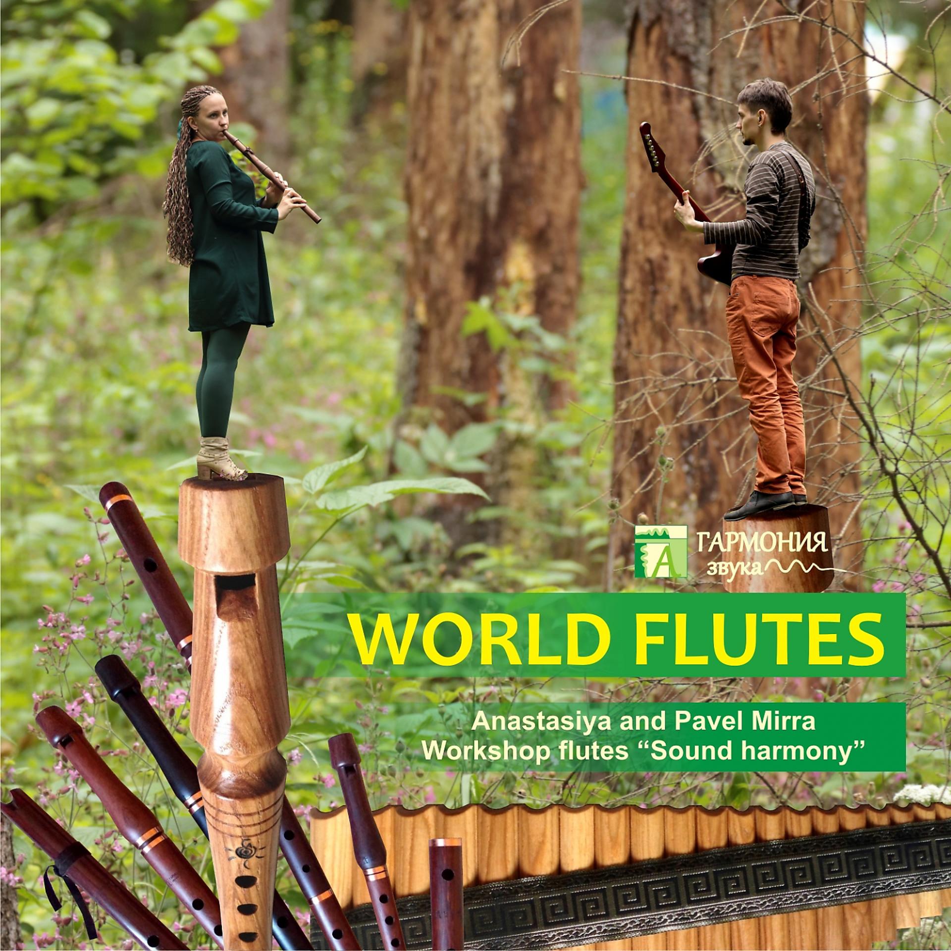 Постер альбома Флейты мира