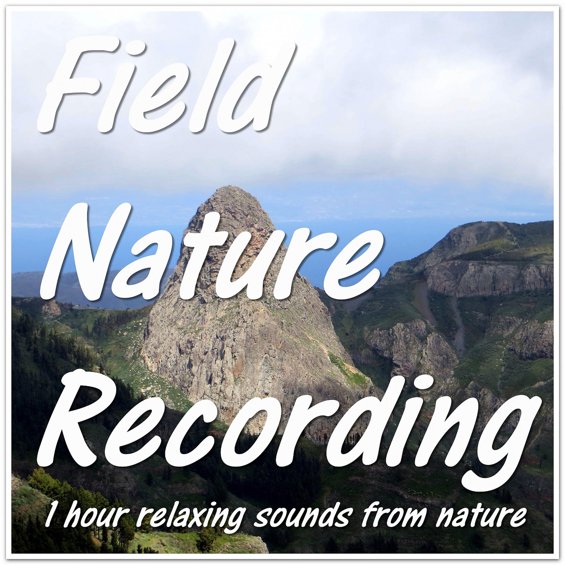 Постер альбома Field Nature Recording
