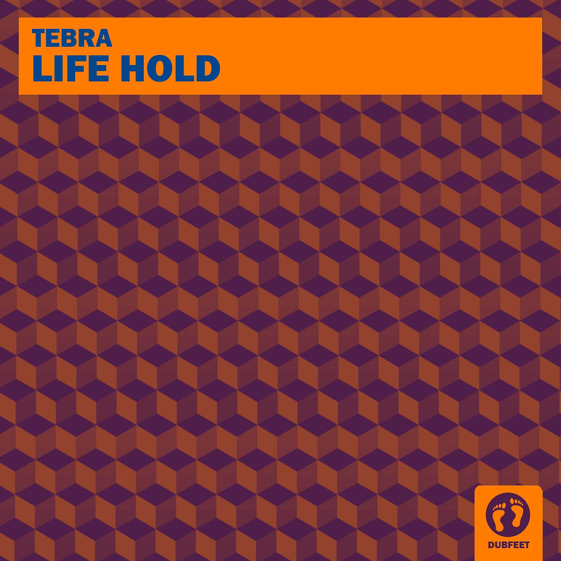 Постер альбома Life Hold