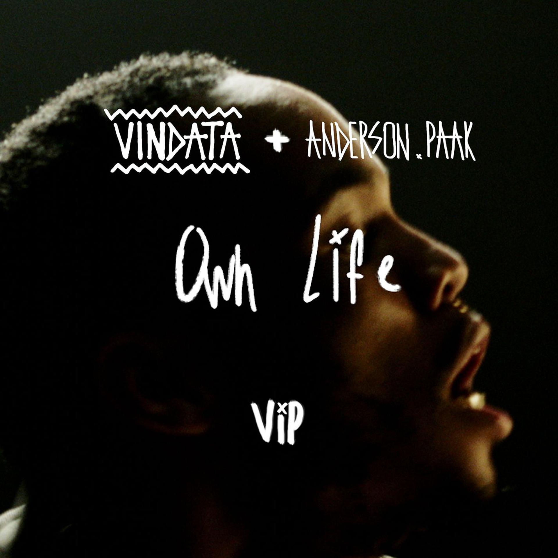 Постер альбома Own Life (feat. Anderson .Paak) [VIP Mix]