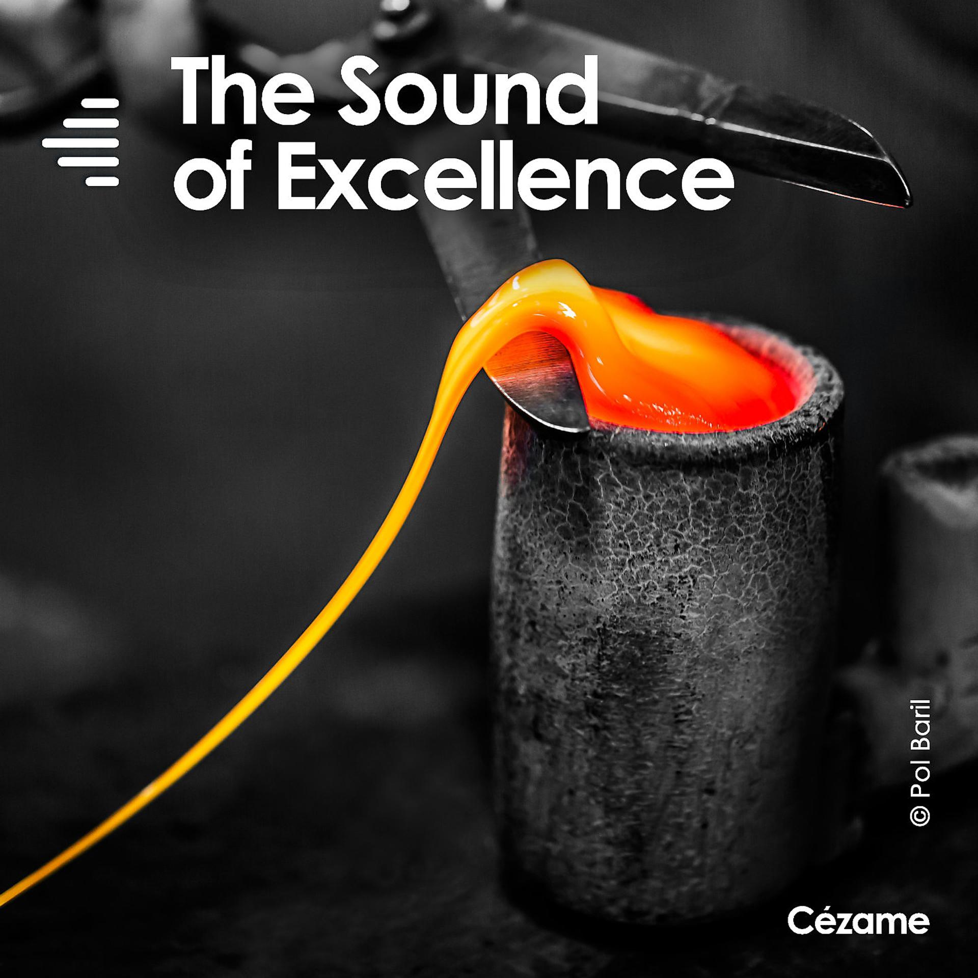 Постер альбома The Sound of Excellence