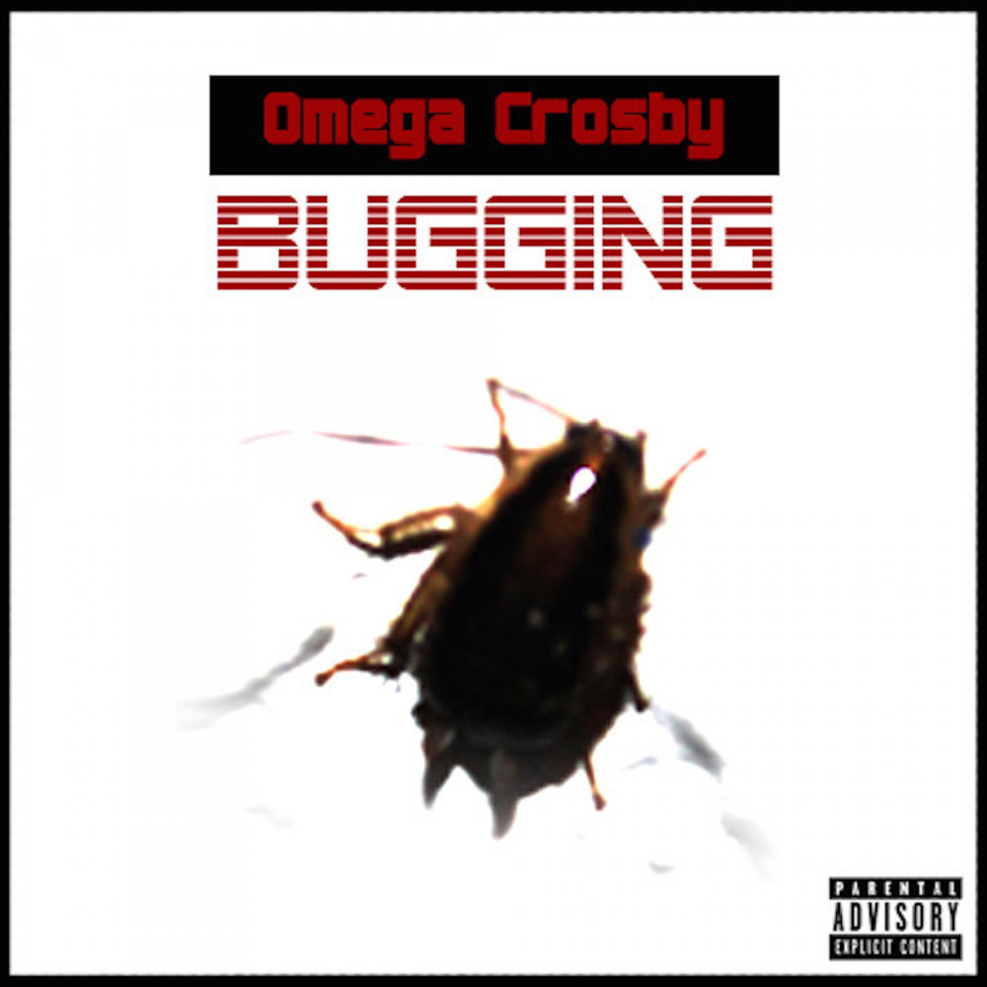 Постер альбома Bugging - Single