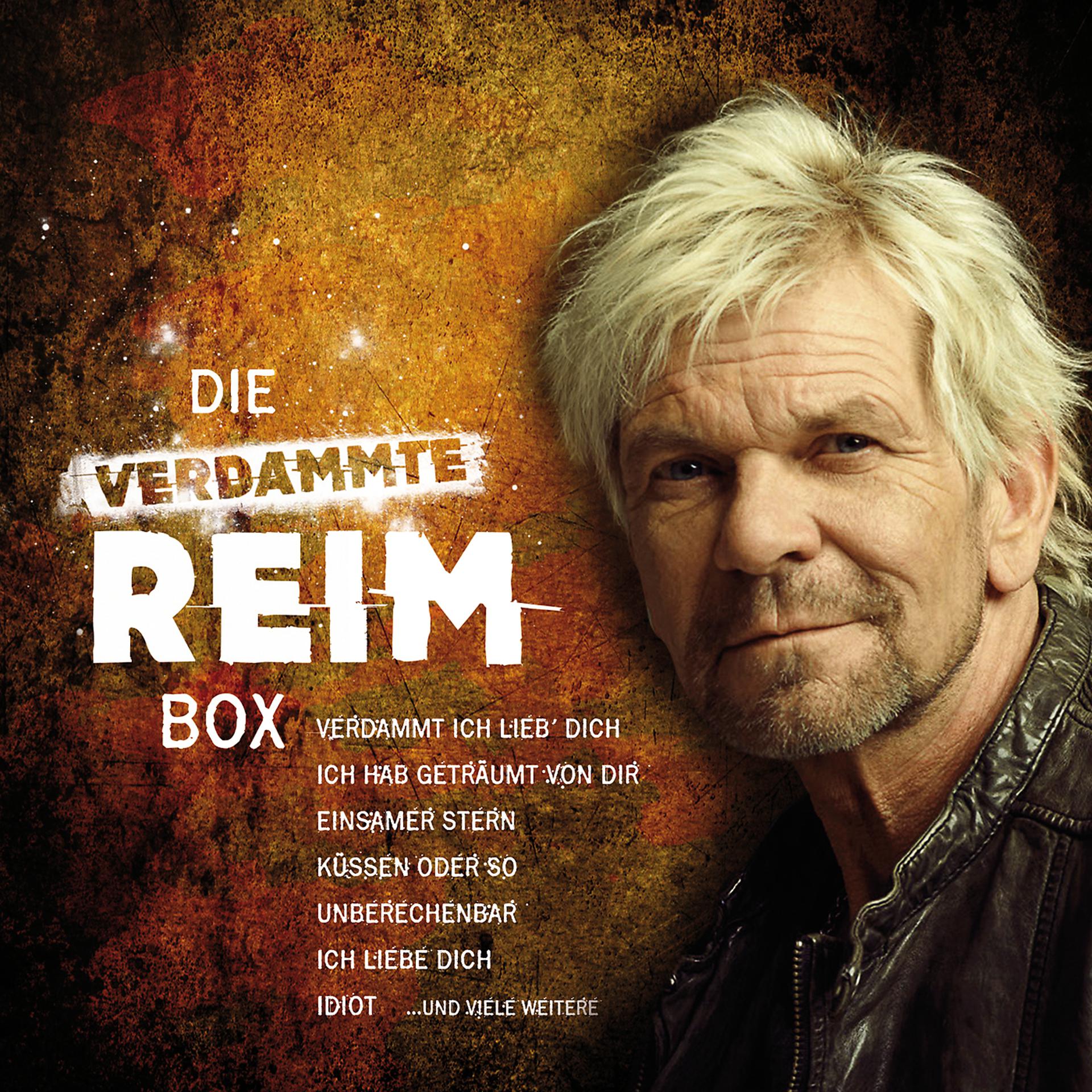 Постер альбома Die verdammte REIM-Box