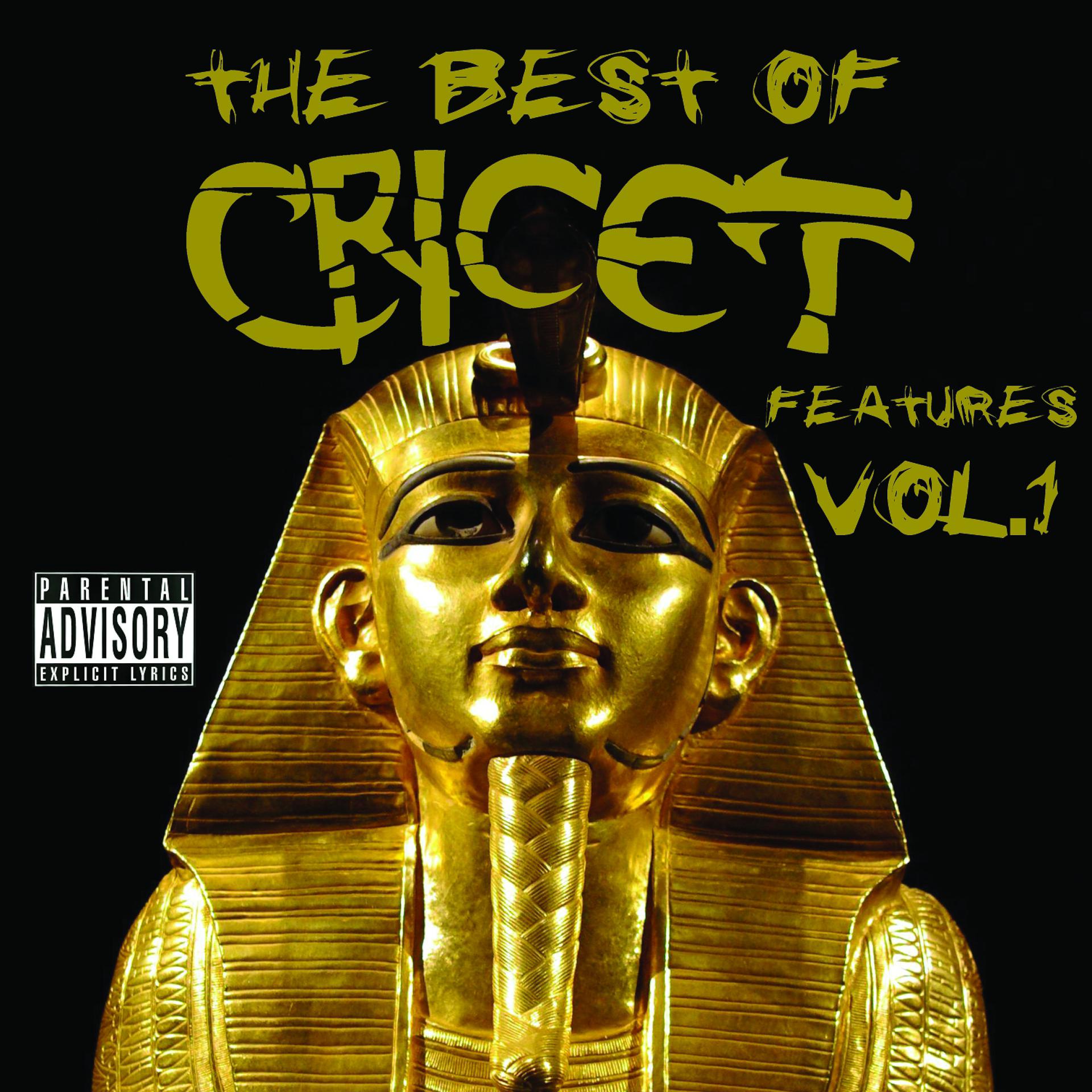 Постер альбома The Best of Cricet Features, Vol. 1