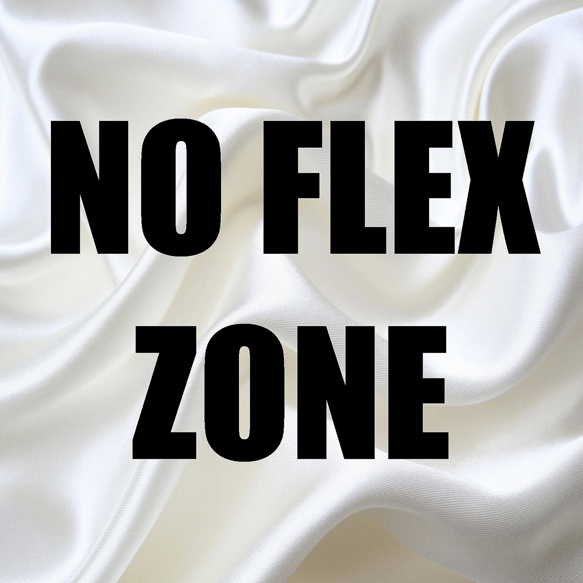 Постер альбома No Flex Zone (In the Style of Rae Sremmurd) [Instrumental Version] - Single