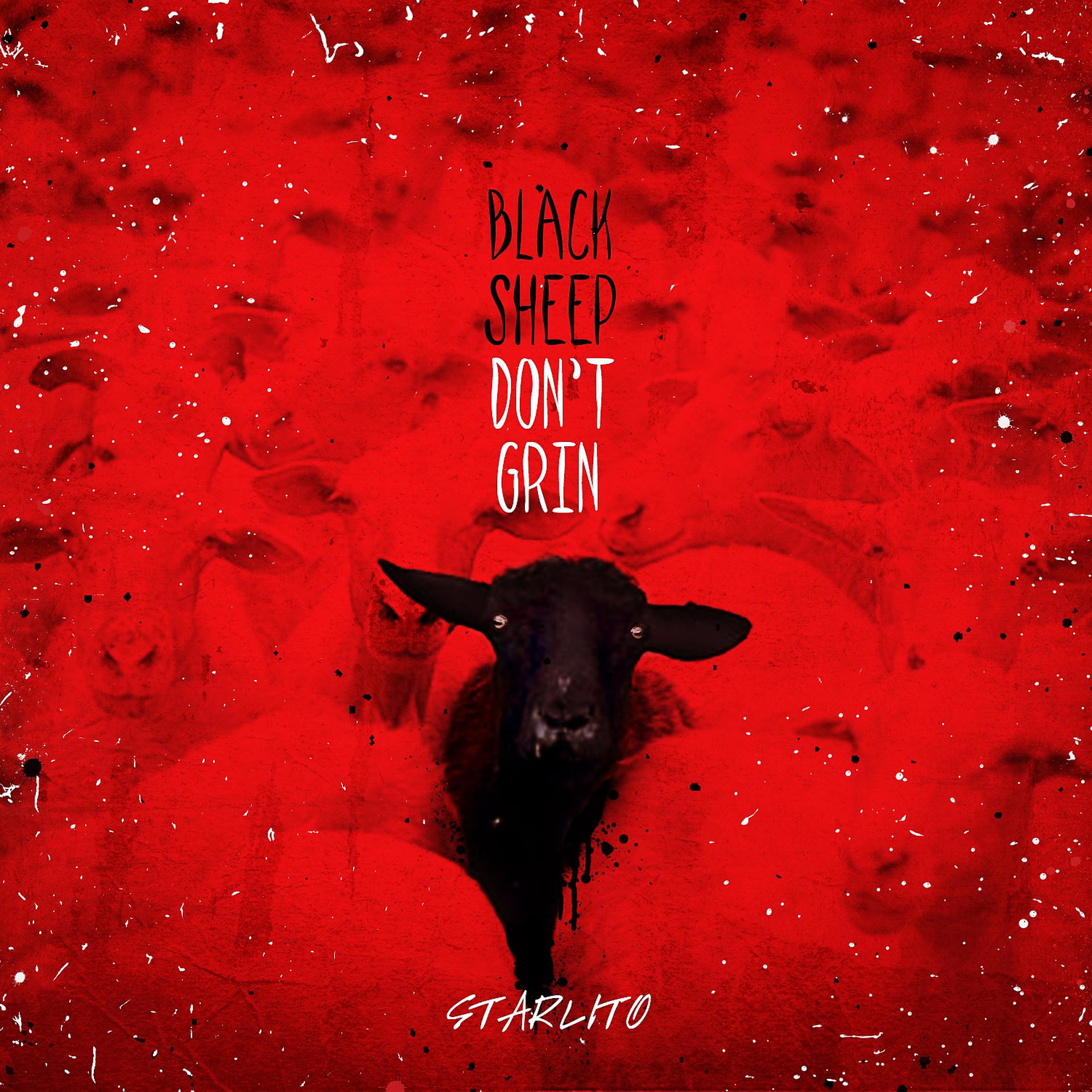 Постер альбома Black Sheep Don't Grin
