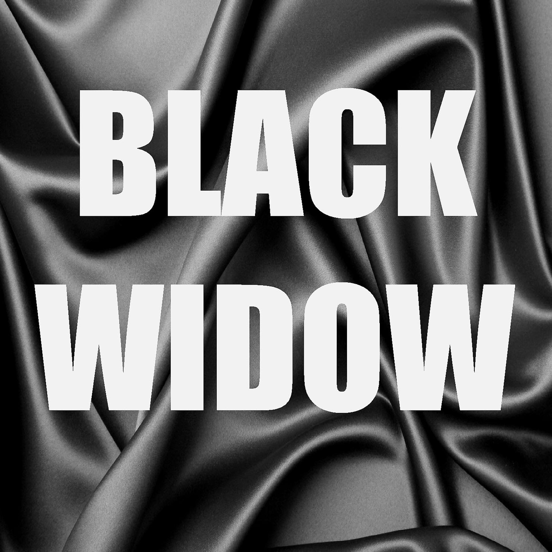 Постер альбома Black Widow (Remix) (In The Style of Iggy Azalea) (Instrumental Version) - Single
