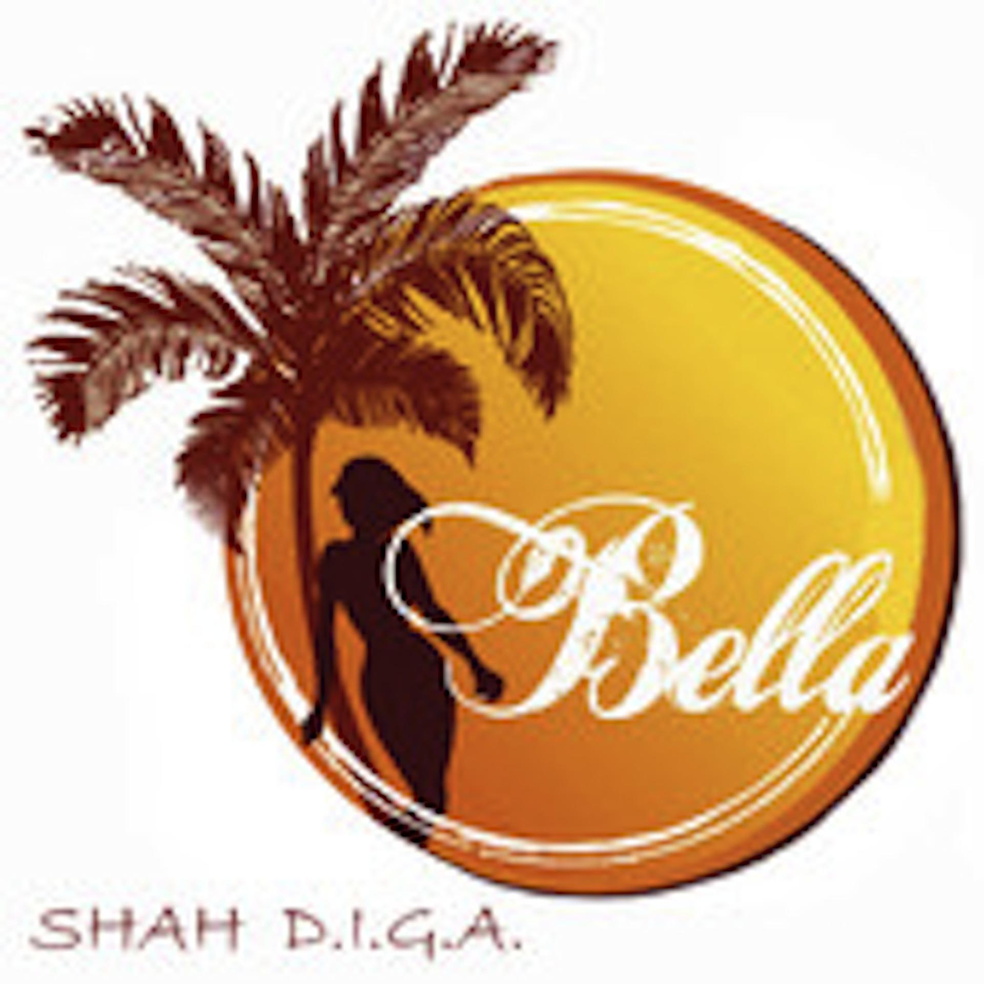 Постер альбома Bella - Single