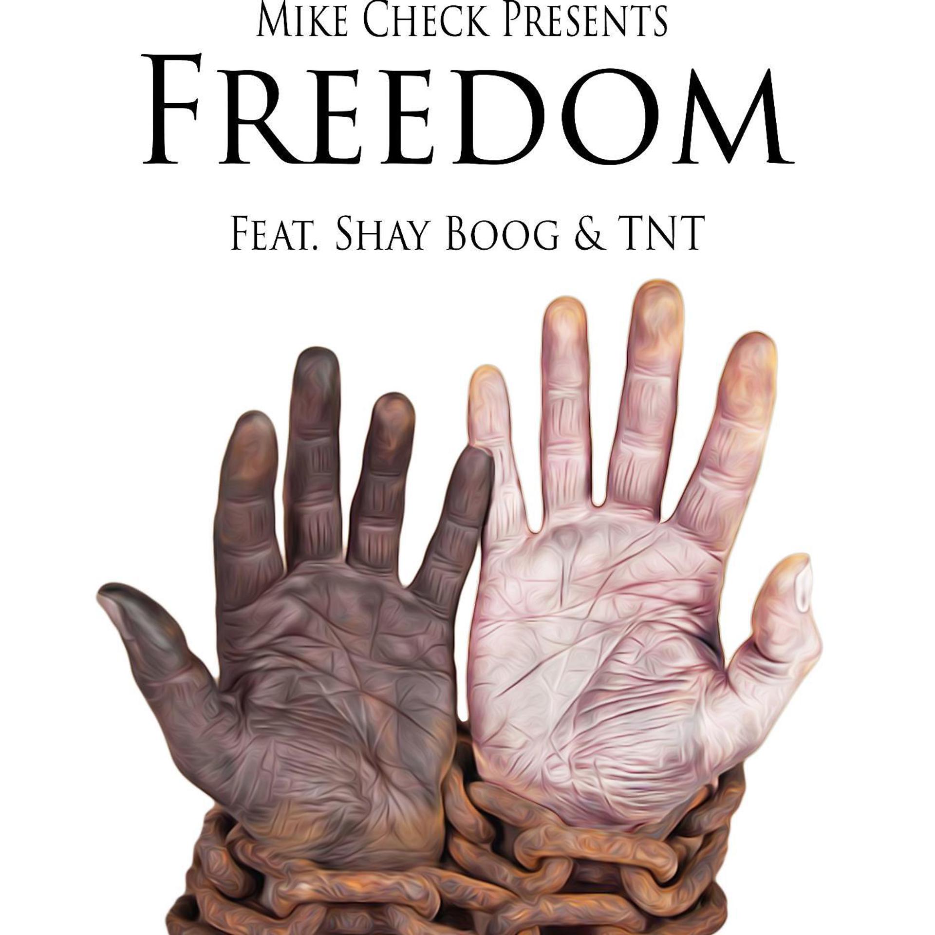 Постер альбома Freedom (feat. Shay Boog & Tnt)