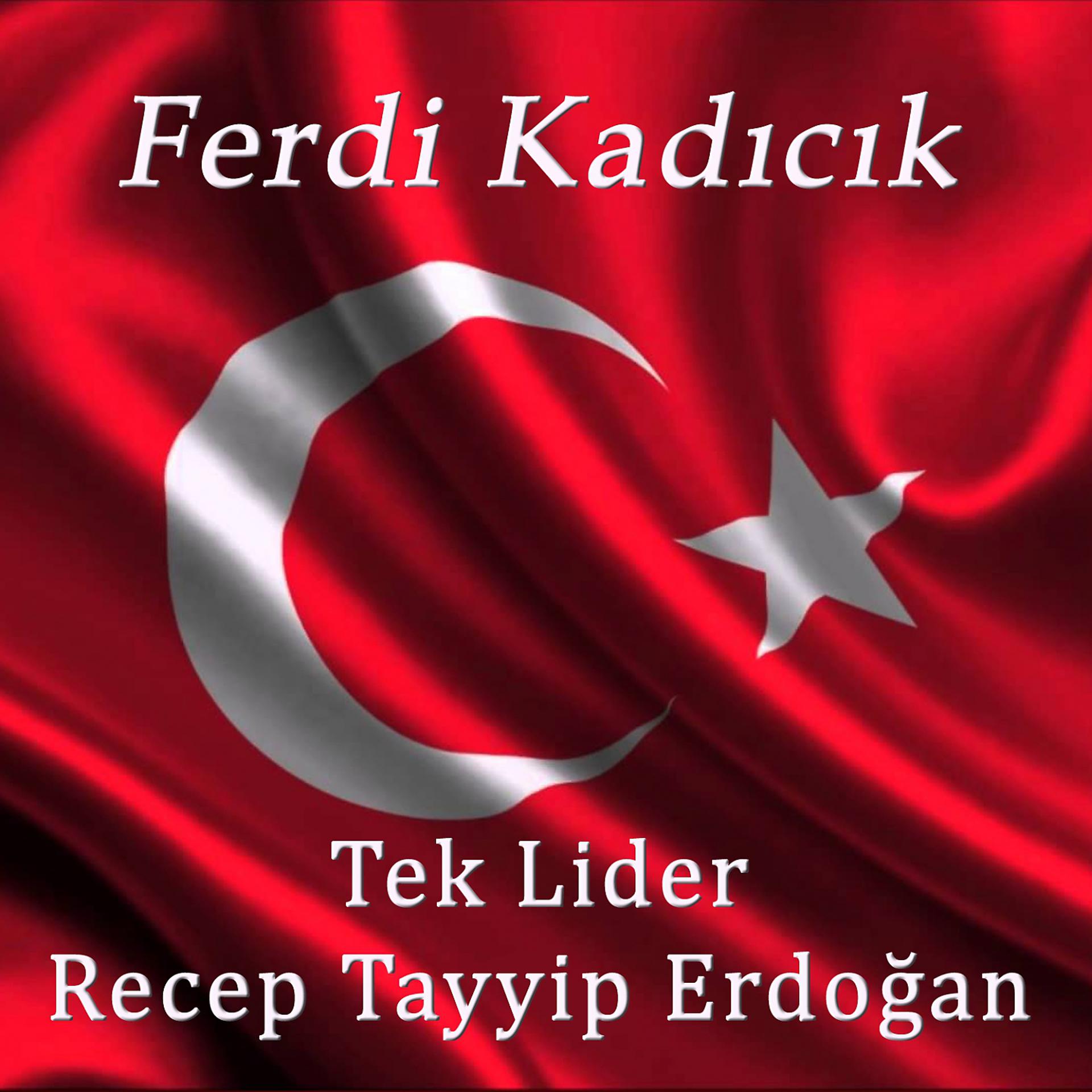Постер альбома Tek Lider Recep Tayyip Erdoğan