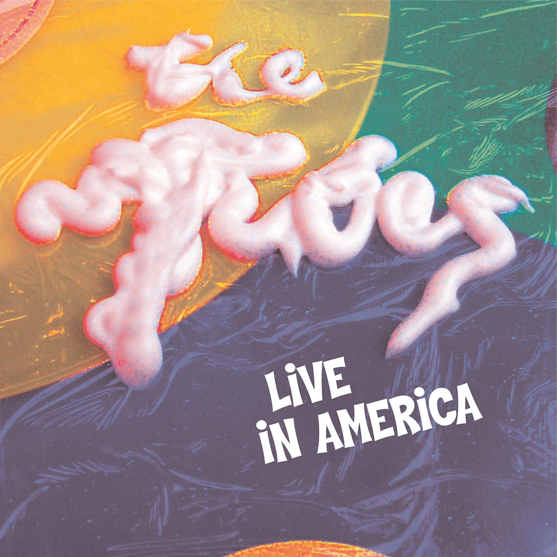 Постер альбома Live In America