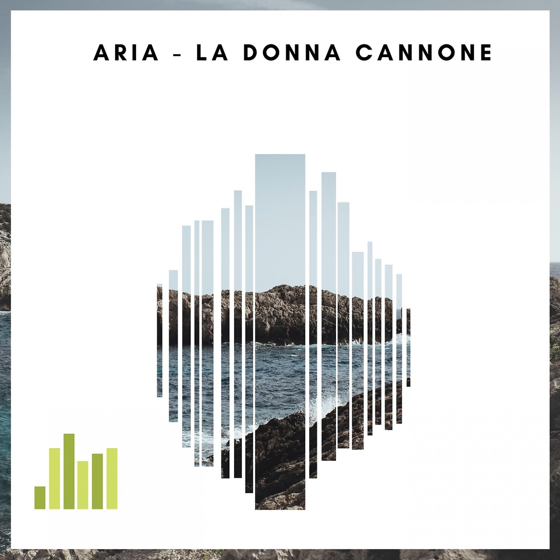Постер альбома Aria / La donna cannone