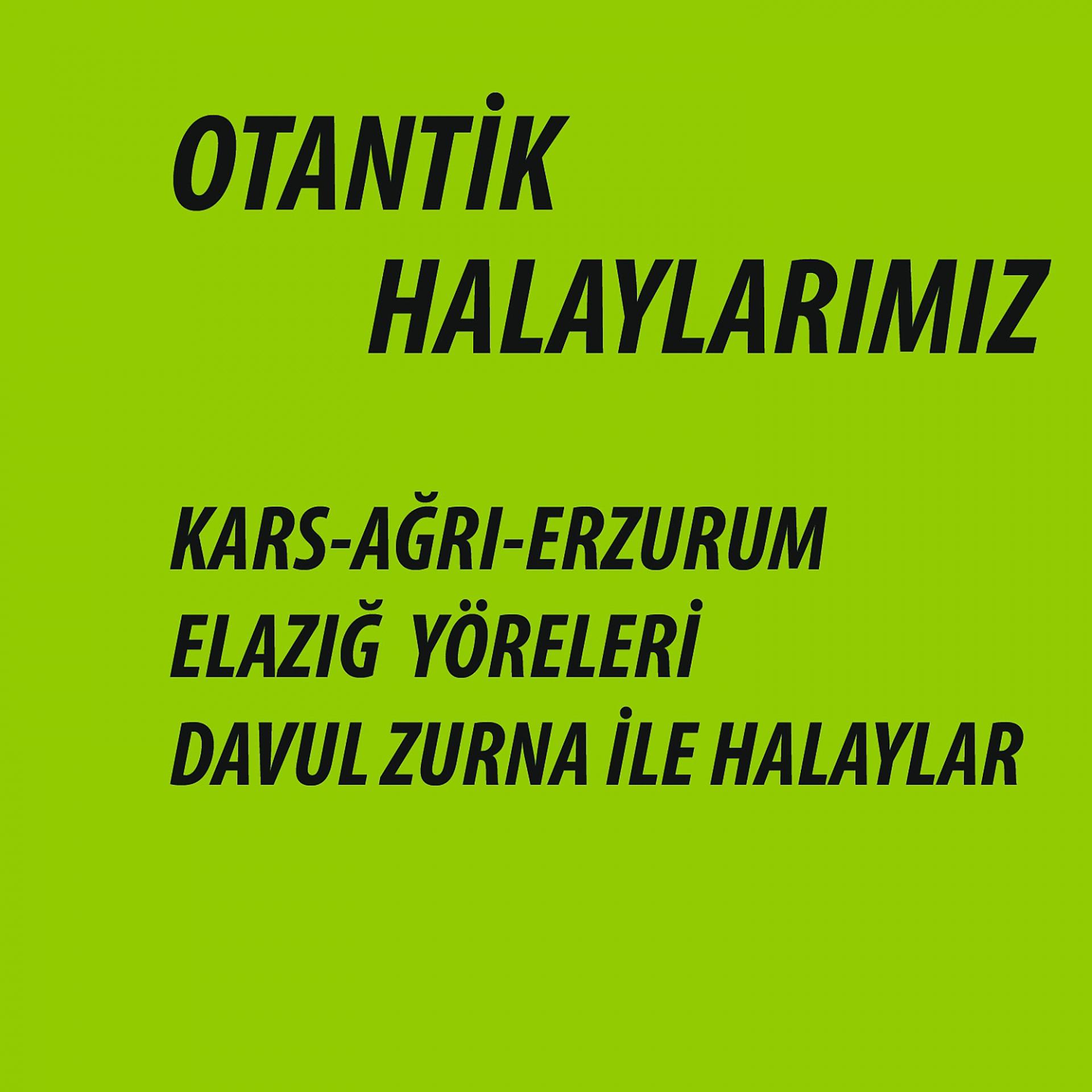 Постер альбома Otantik Halaylarımız