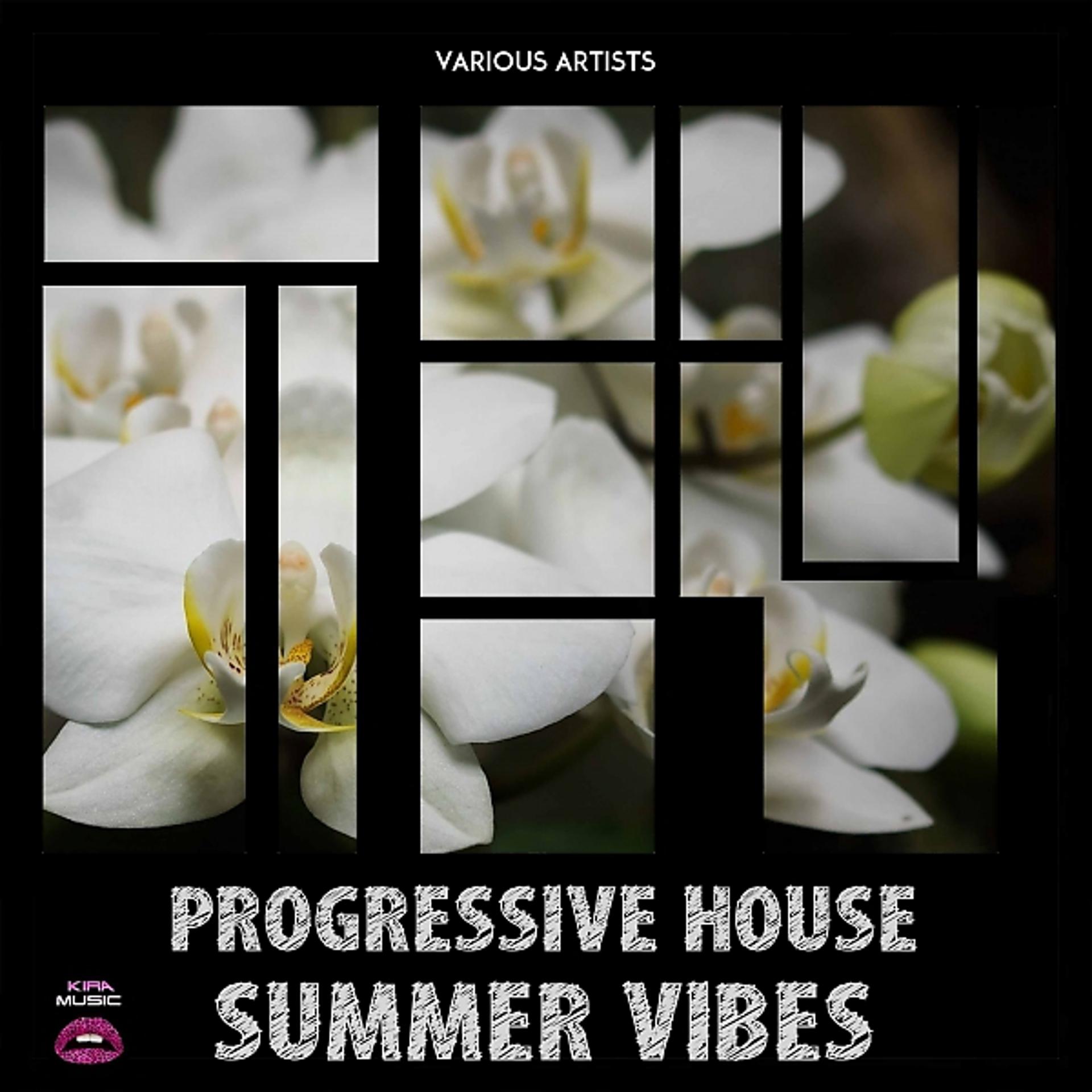 Постер альбома Progressive House Summer Vibes