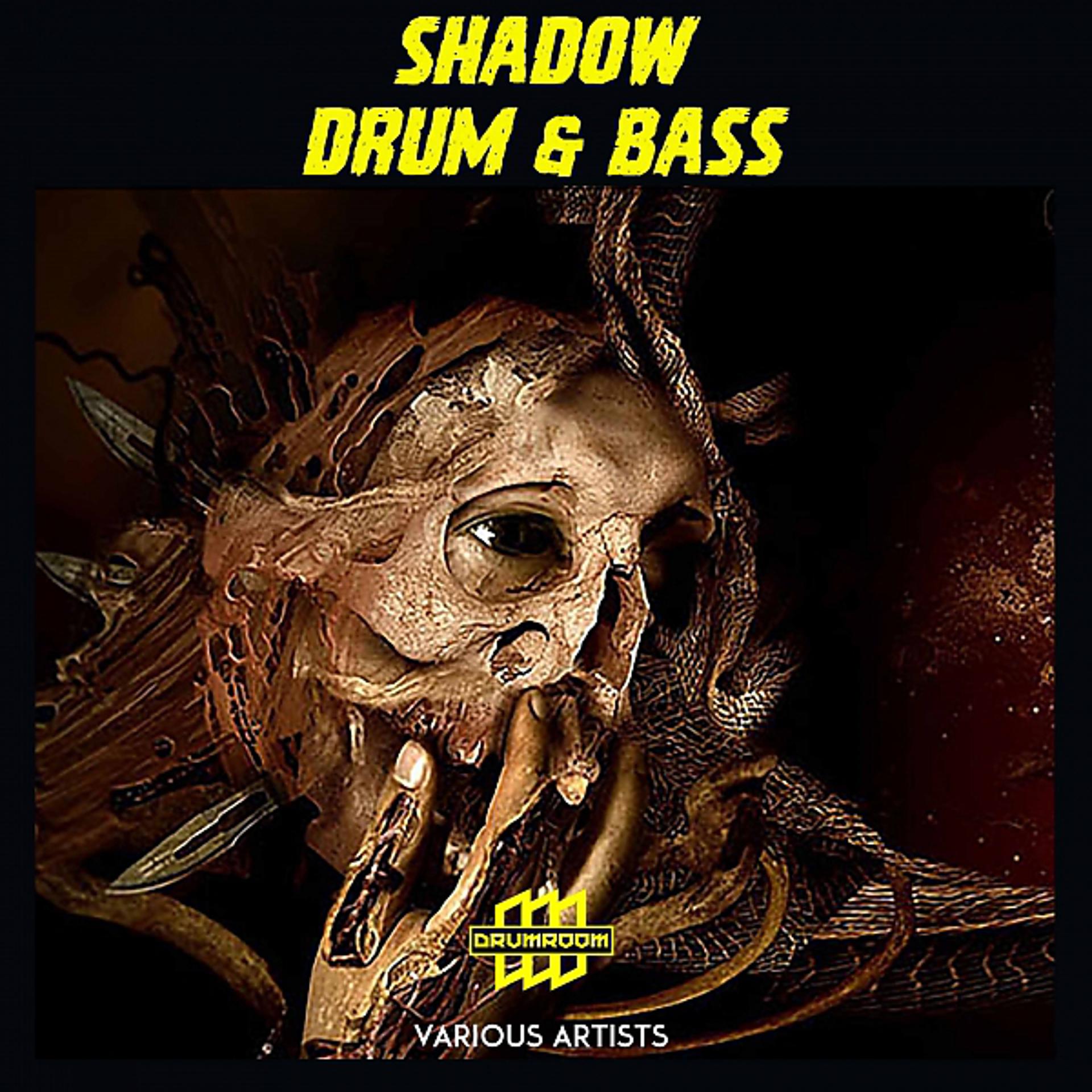 Постер альбома Shadow Drum & Bass