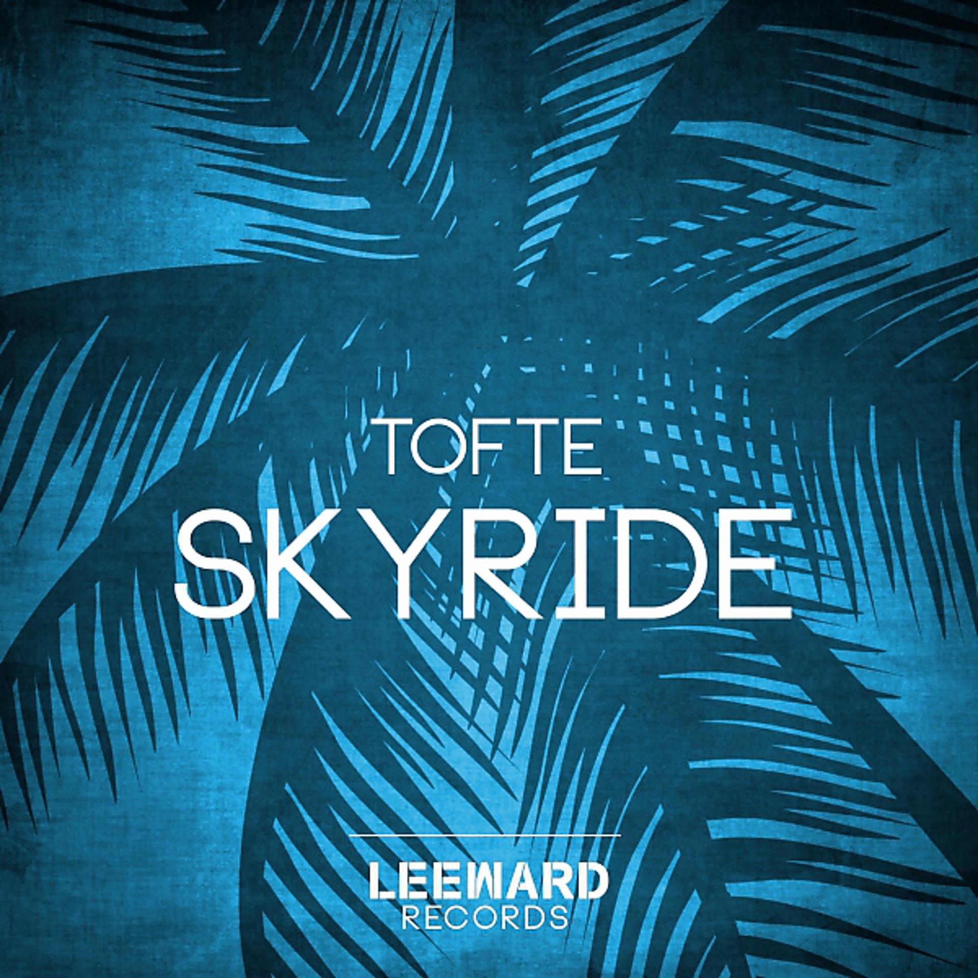 Постер альбома SkyRide