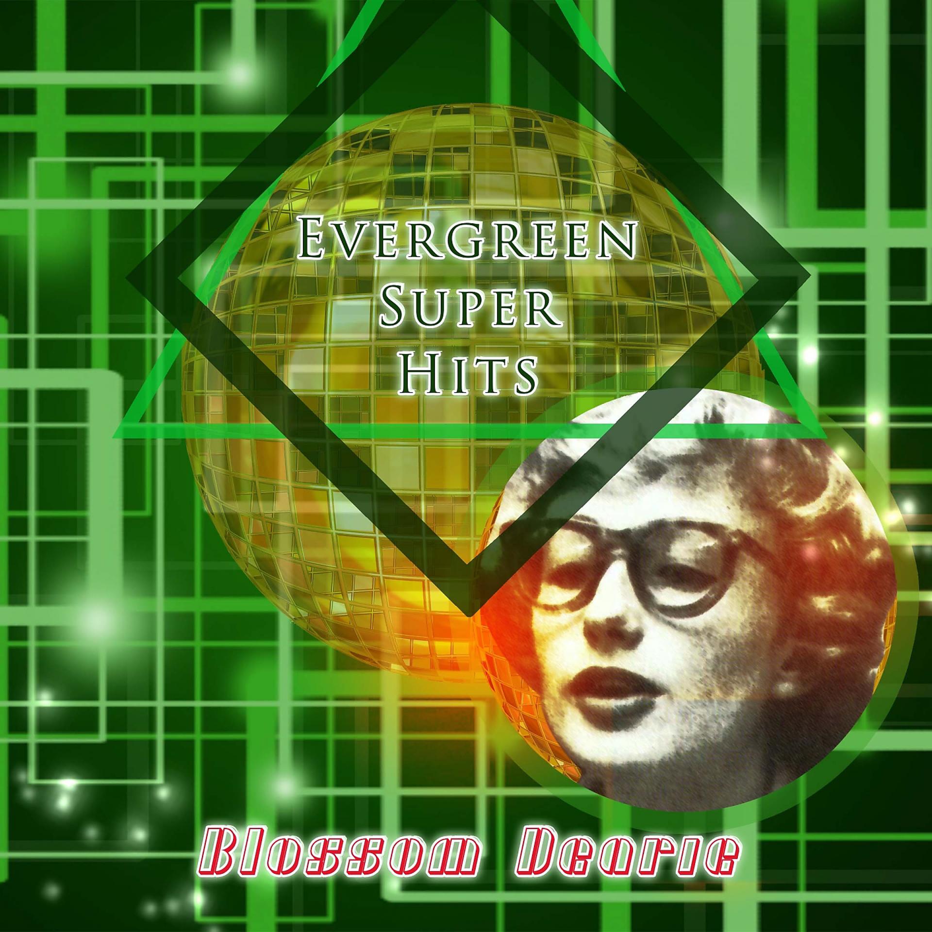 Постер альбома Evergreen Super Hits
