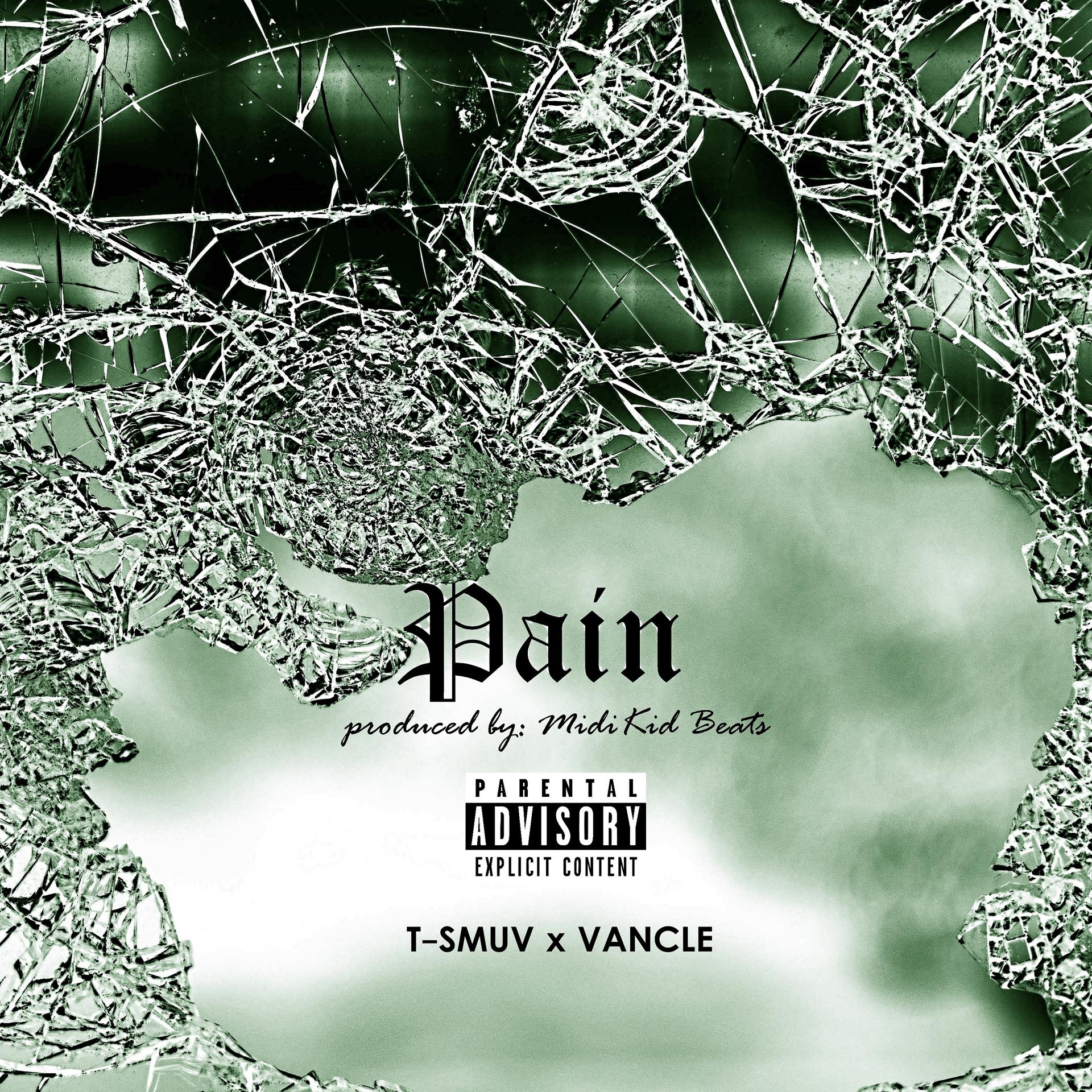 Постер альбома Pain (feat. Vancle) - Single