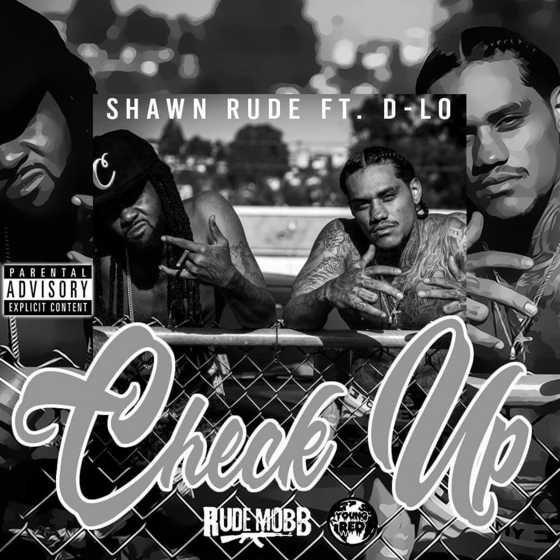 Постер альбома Check Up (feat. D-Lo)