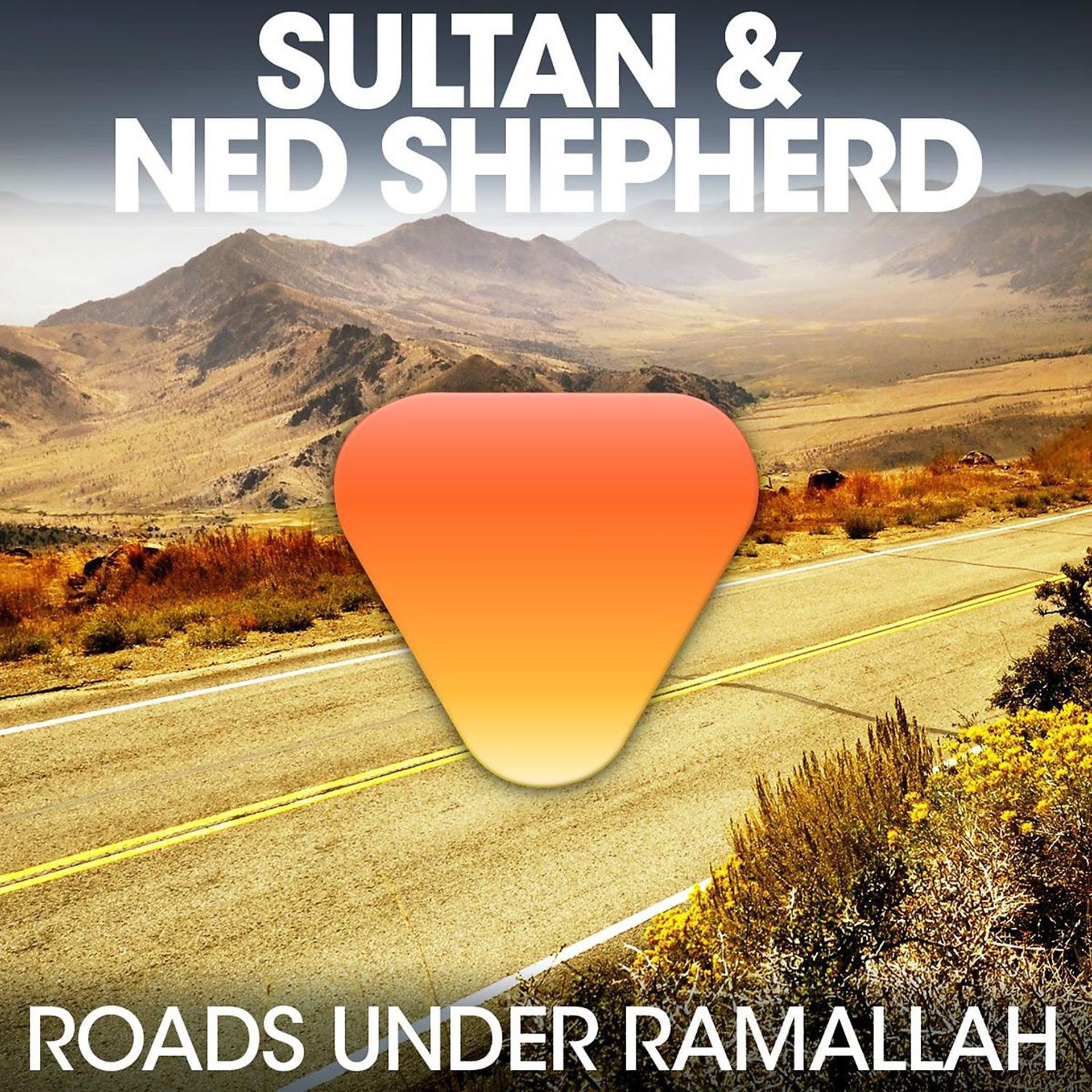 Постер альбома Roads Under Ramallah