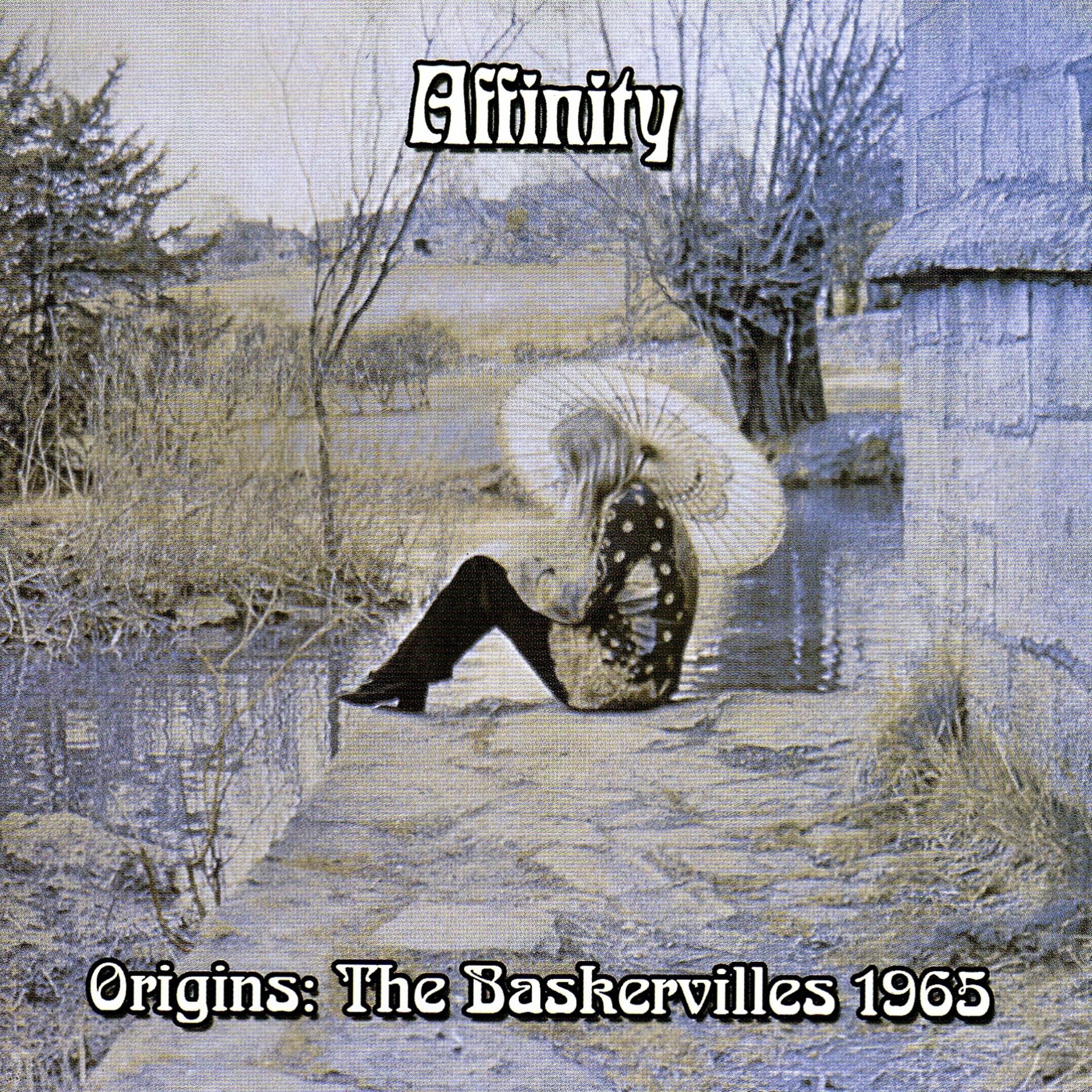Постер альбома Origins… The Baskervilles 1965
