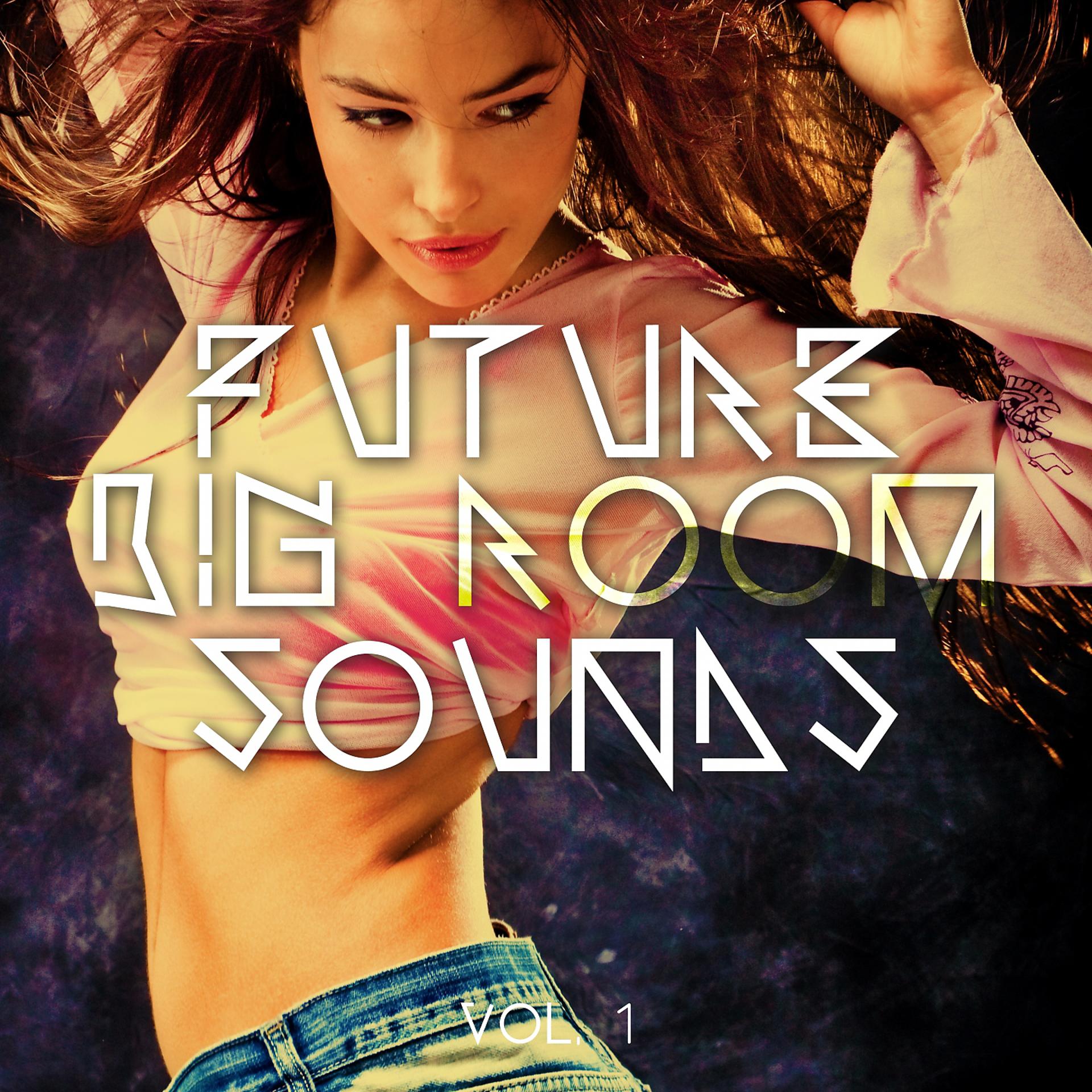 Постер альбома Future Big Room Sounds, Vol. 1