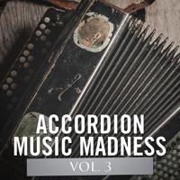 Постер альбома Accordion Music Madness, Vol. 3