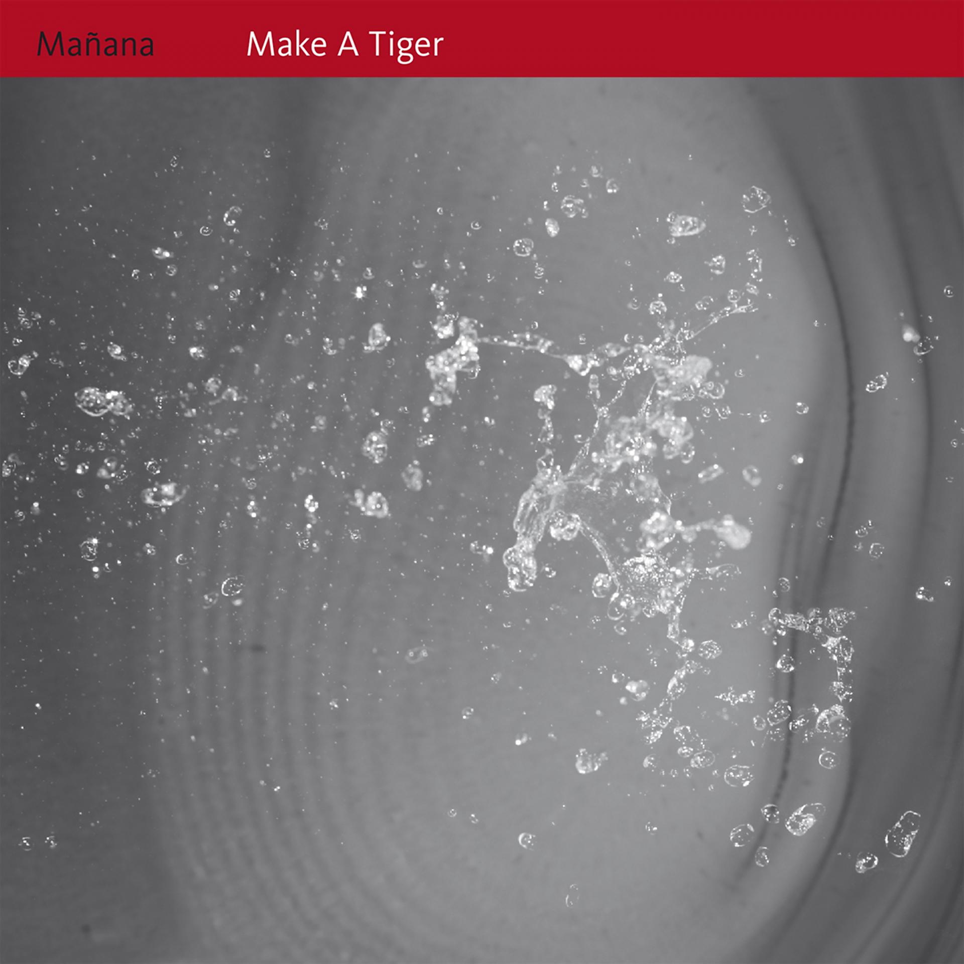 Постер альбома Make a Tiger